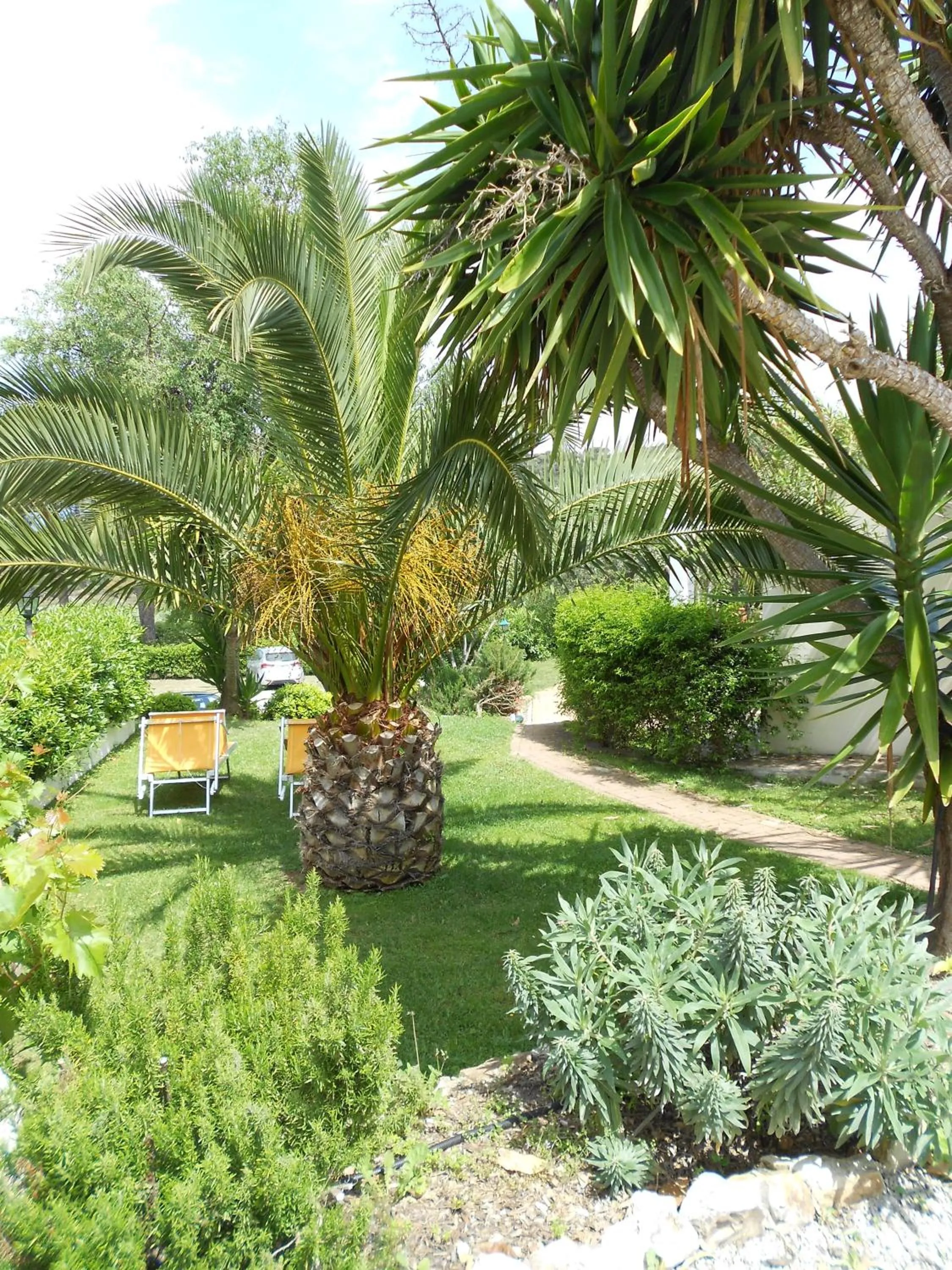 Garden in Hotel Santo Stefano