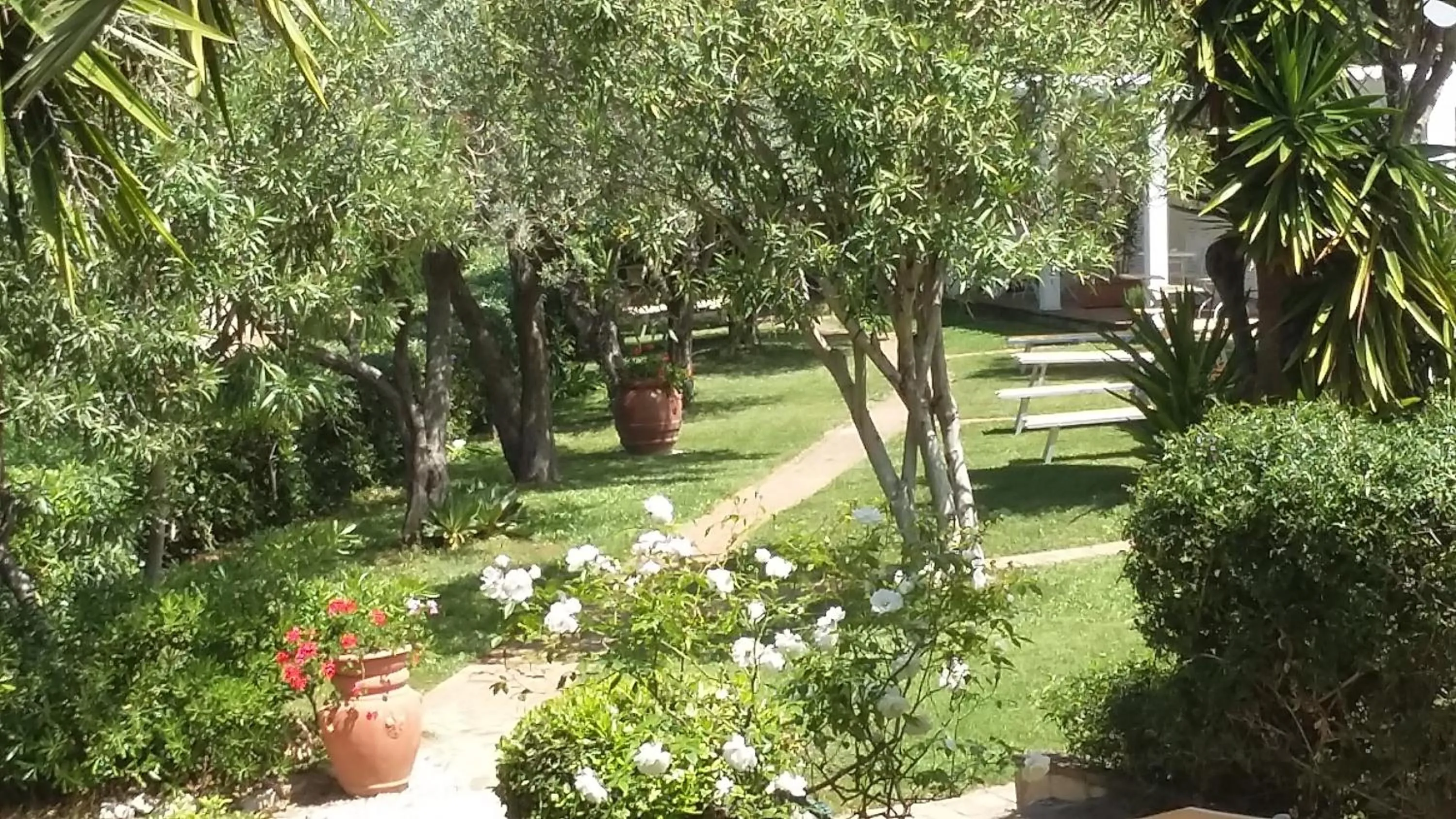 Garden in Hotel Santo Stefano