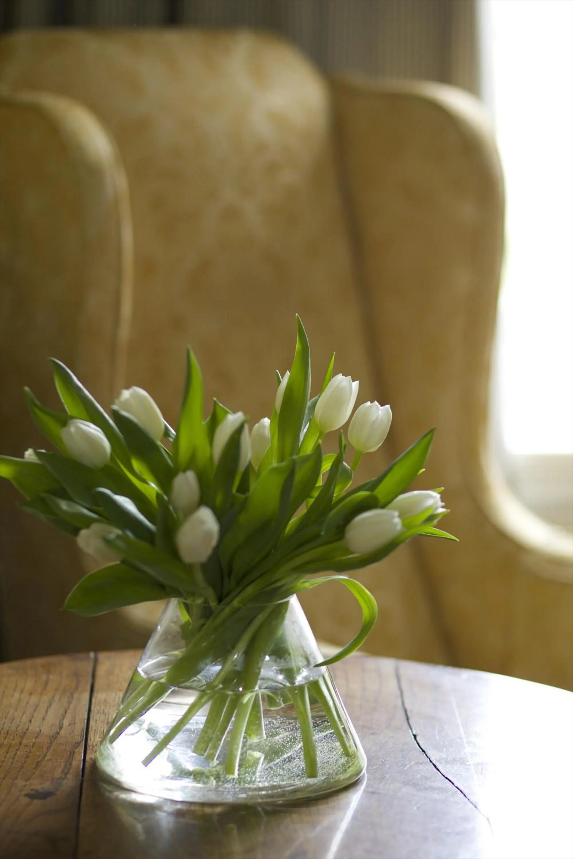 Decorative detail in The Manor at Sway – Hotel, Restaurant and Gardens