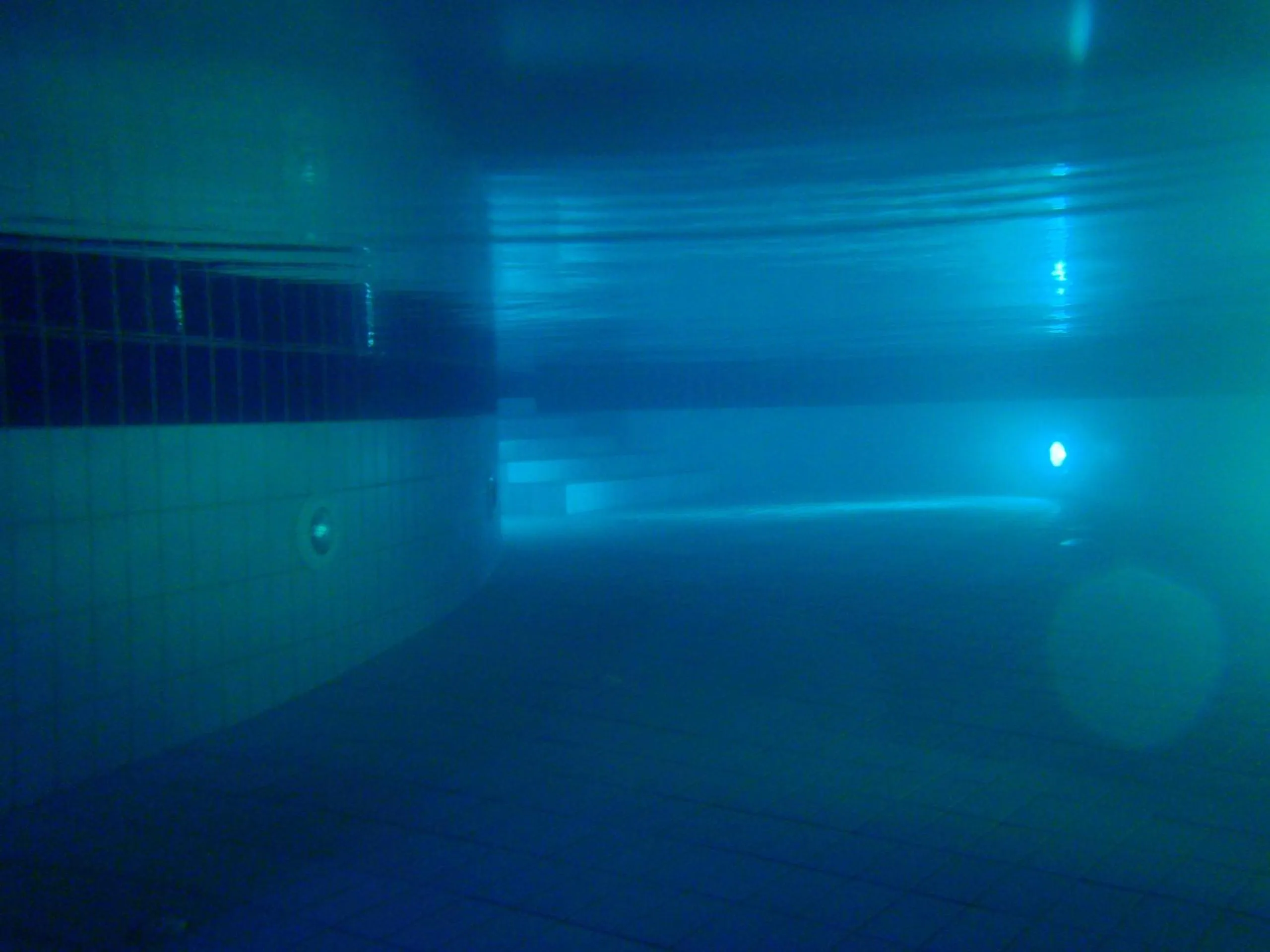 Swimming pool in Arbel Guest House Shavit Family