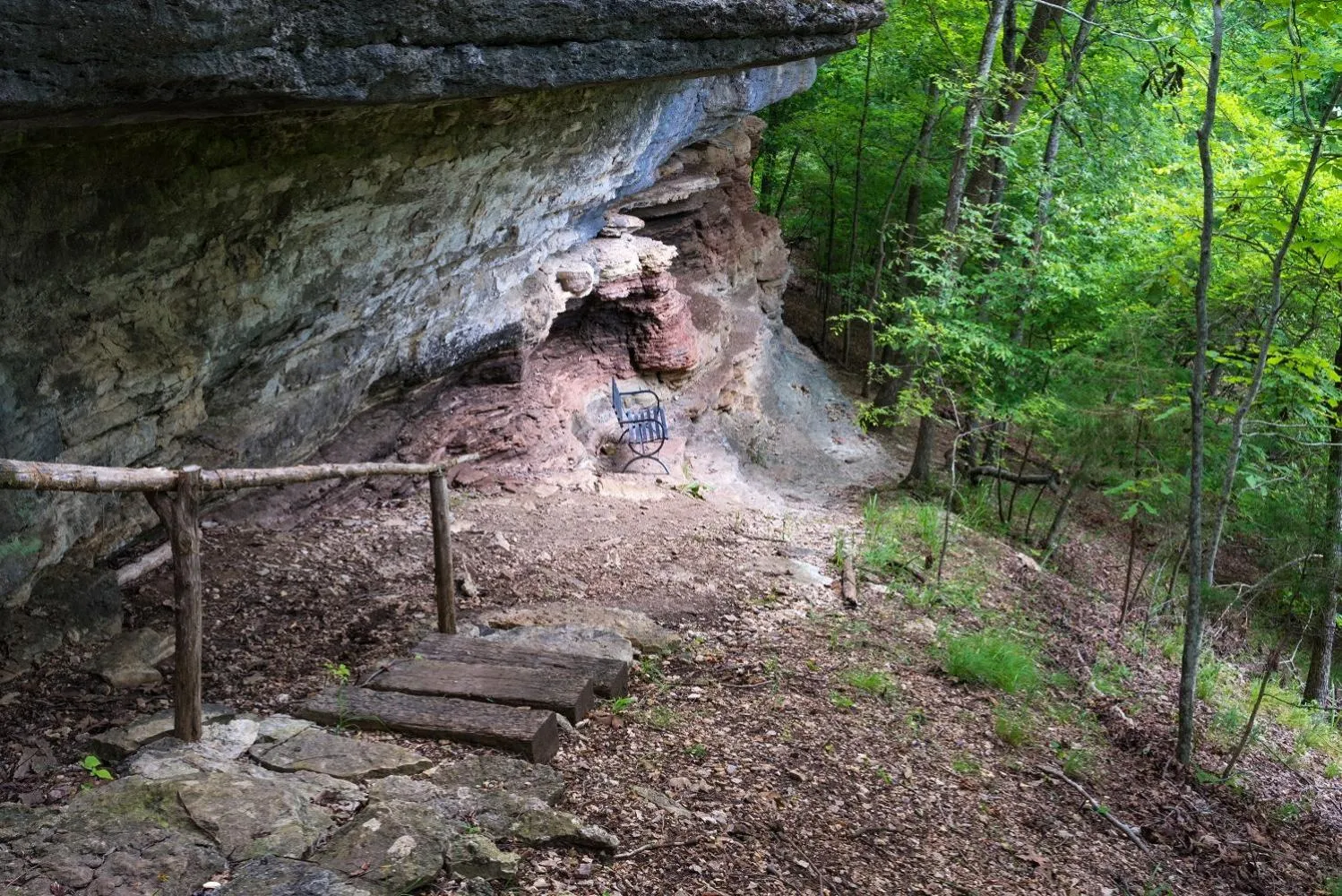 Natural landscape in Beaver Lake Cottages