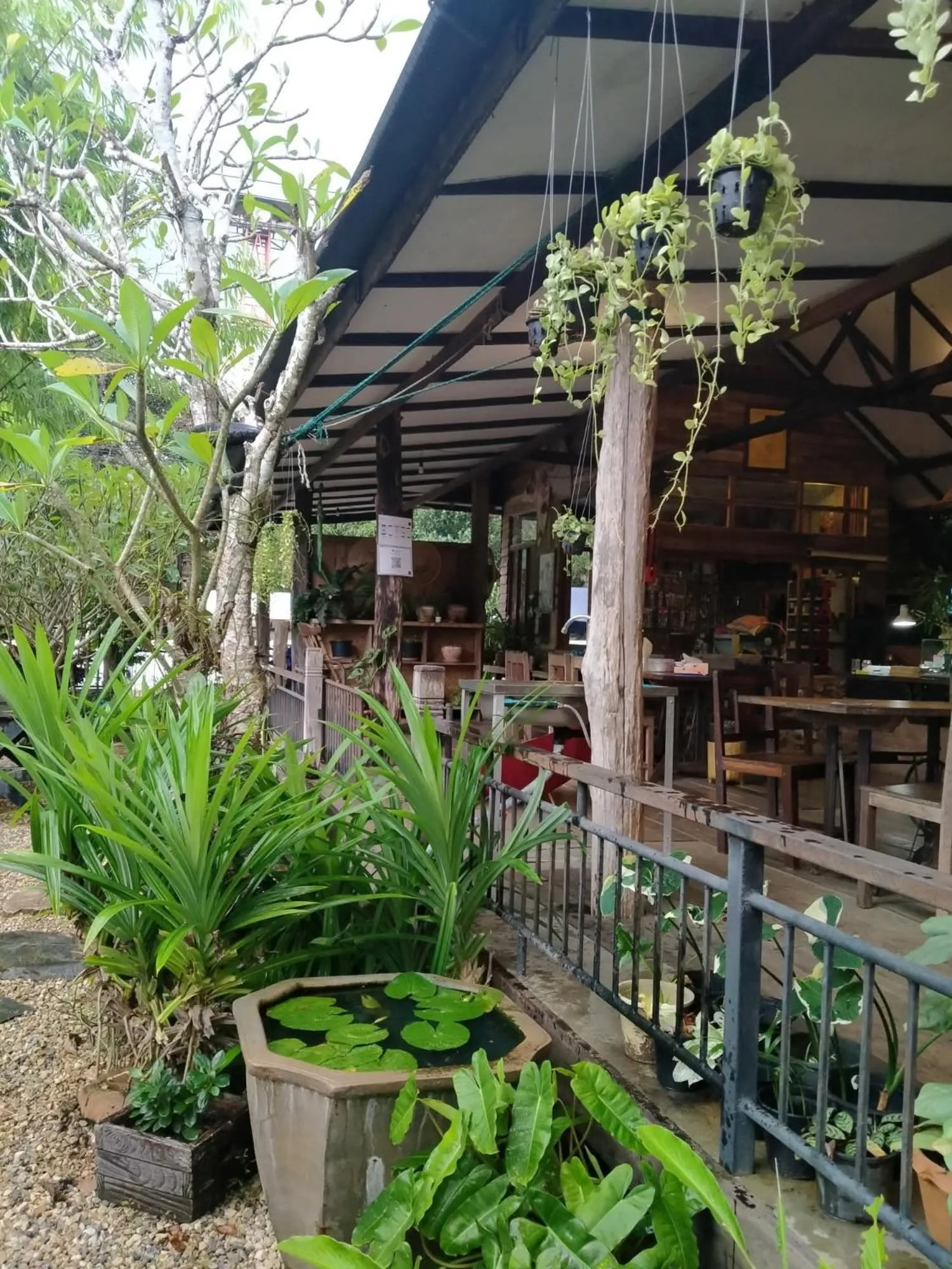 Restaurant/places to eat in Kingfisher House