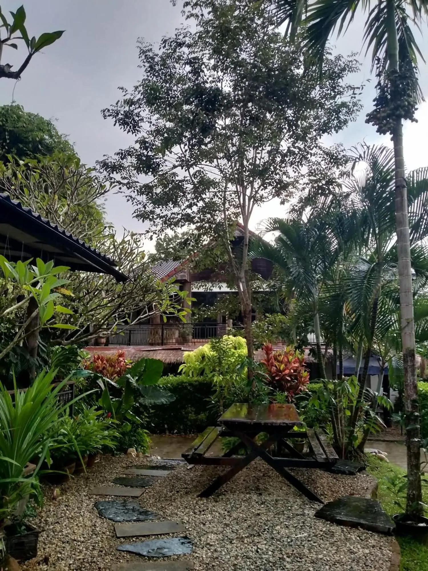 Spring in Kingfisher House