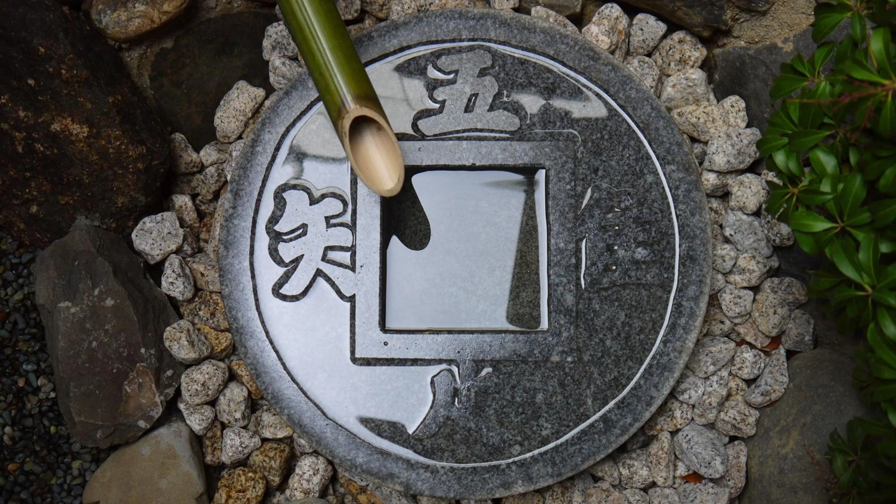 Garden in Machiya Kaemon