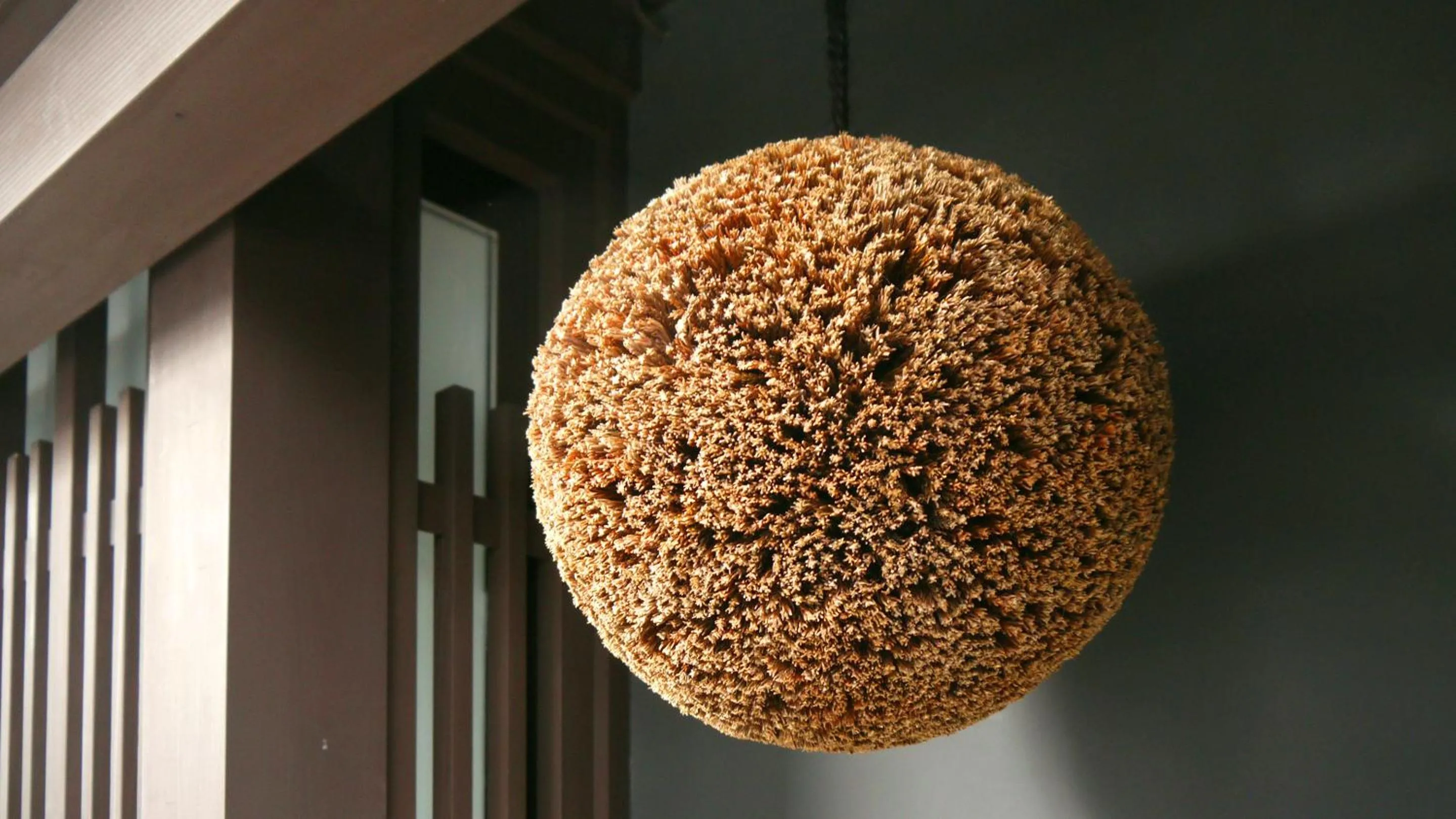 Property building in Machiya Kaemon