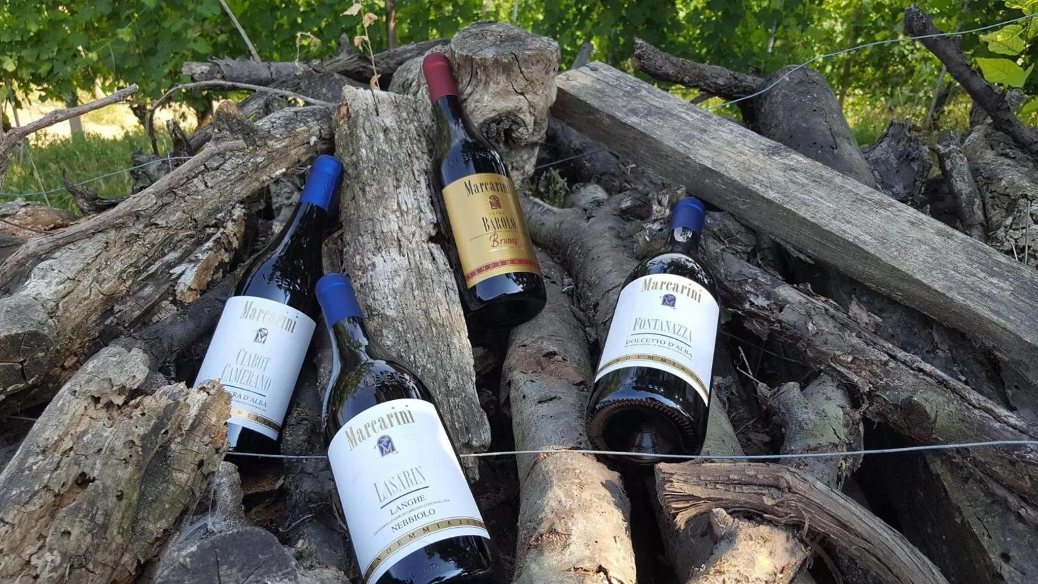 Property logo or sign in Marcarini Agriturismo