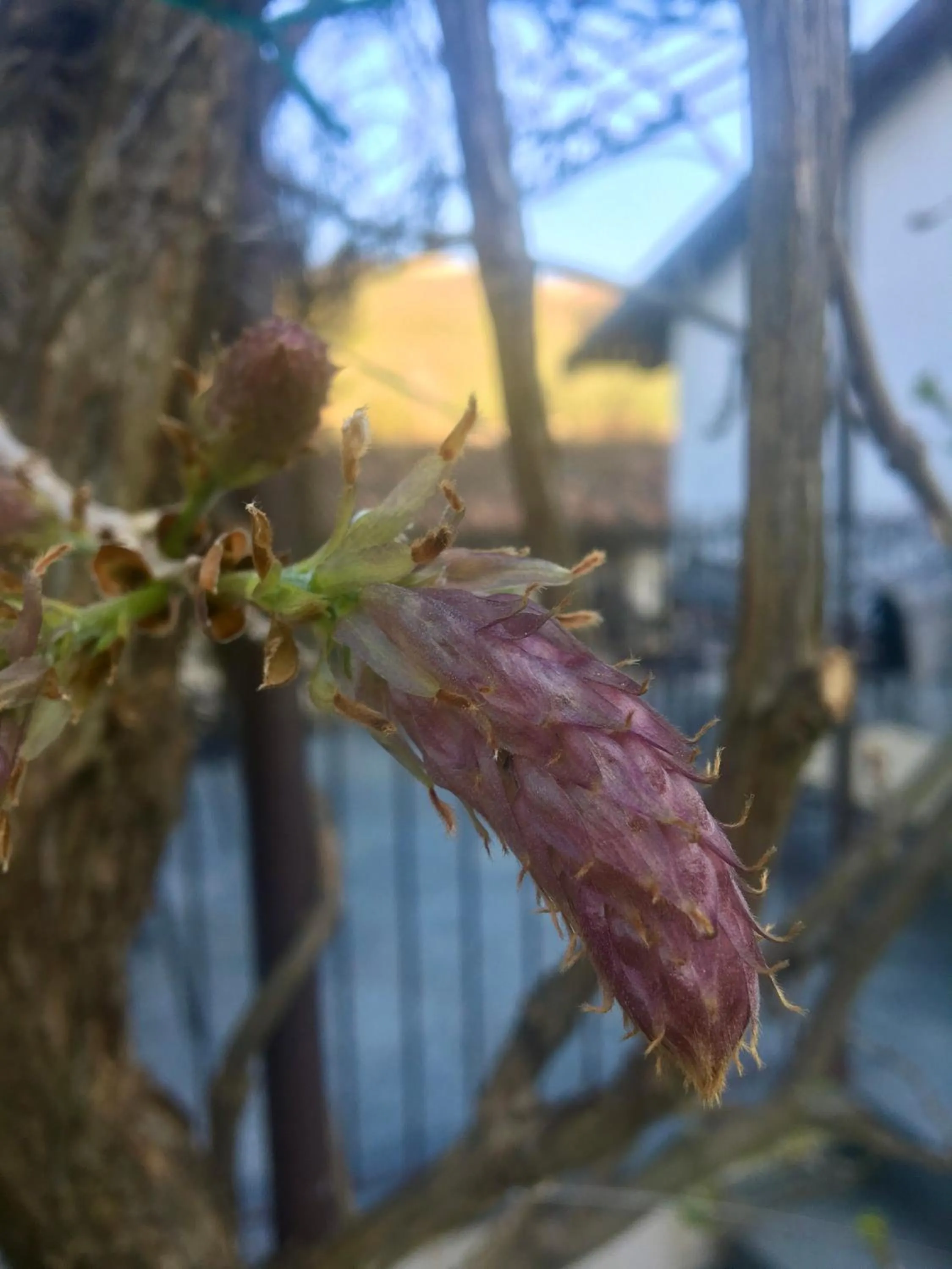 Garden in Marcarini Agriturismo