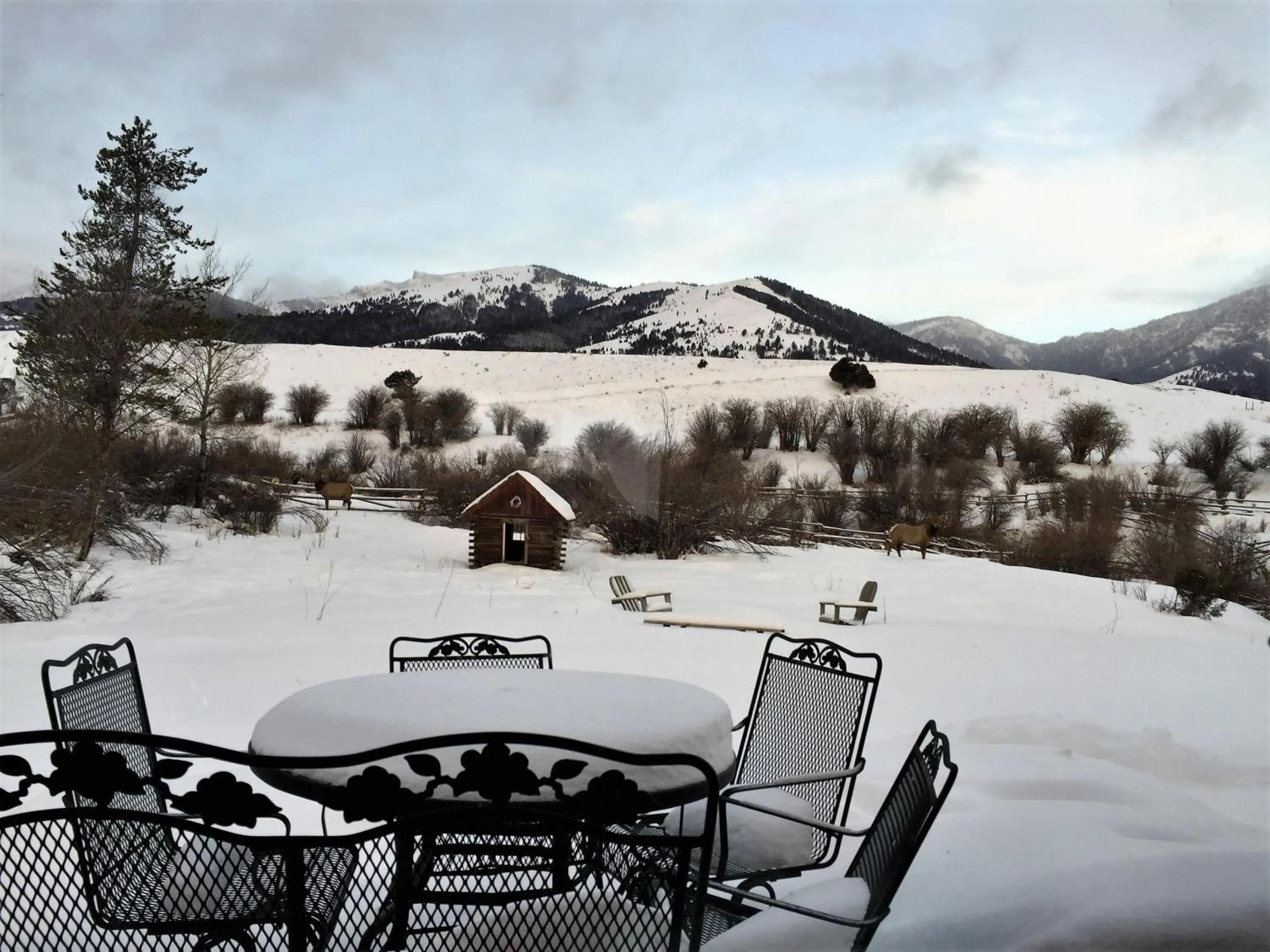 View (from property/room) in Grandpa's Cabin