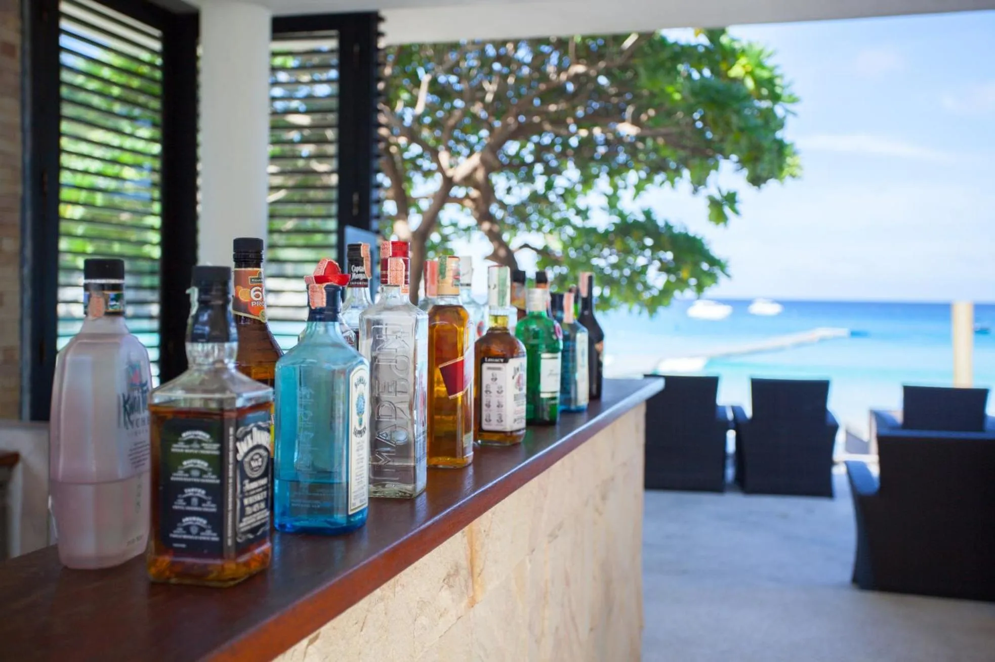 Lounge or bar in The Racha