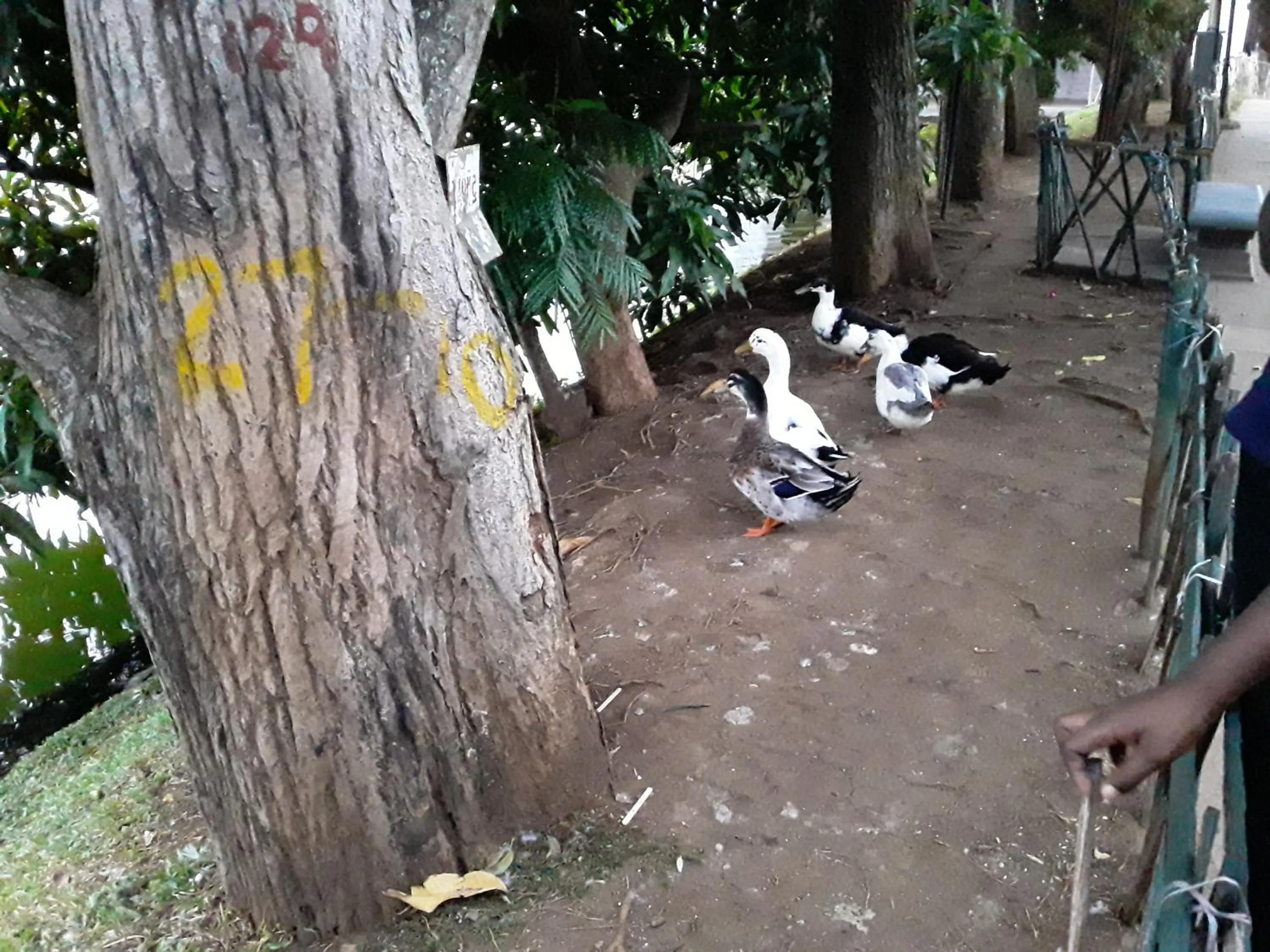 Nearby landmark in New Kandy Residence