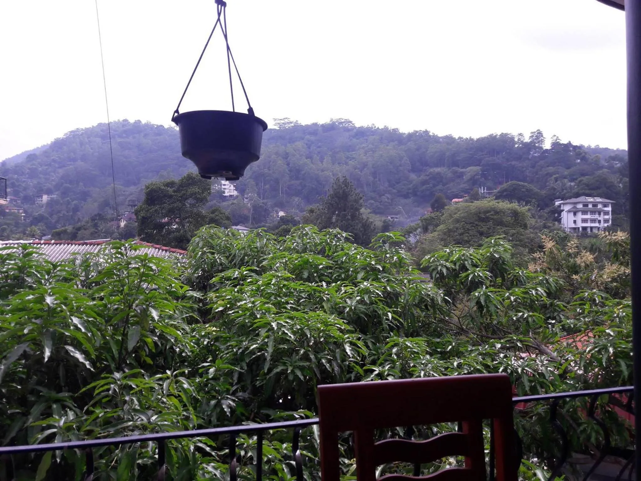 Mountain view in New Kandy Residence