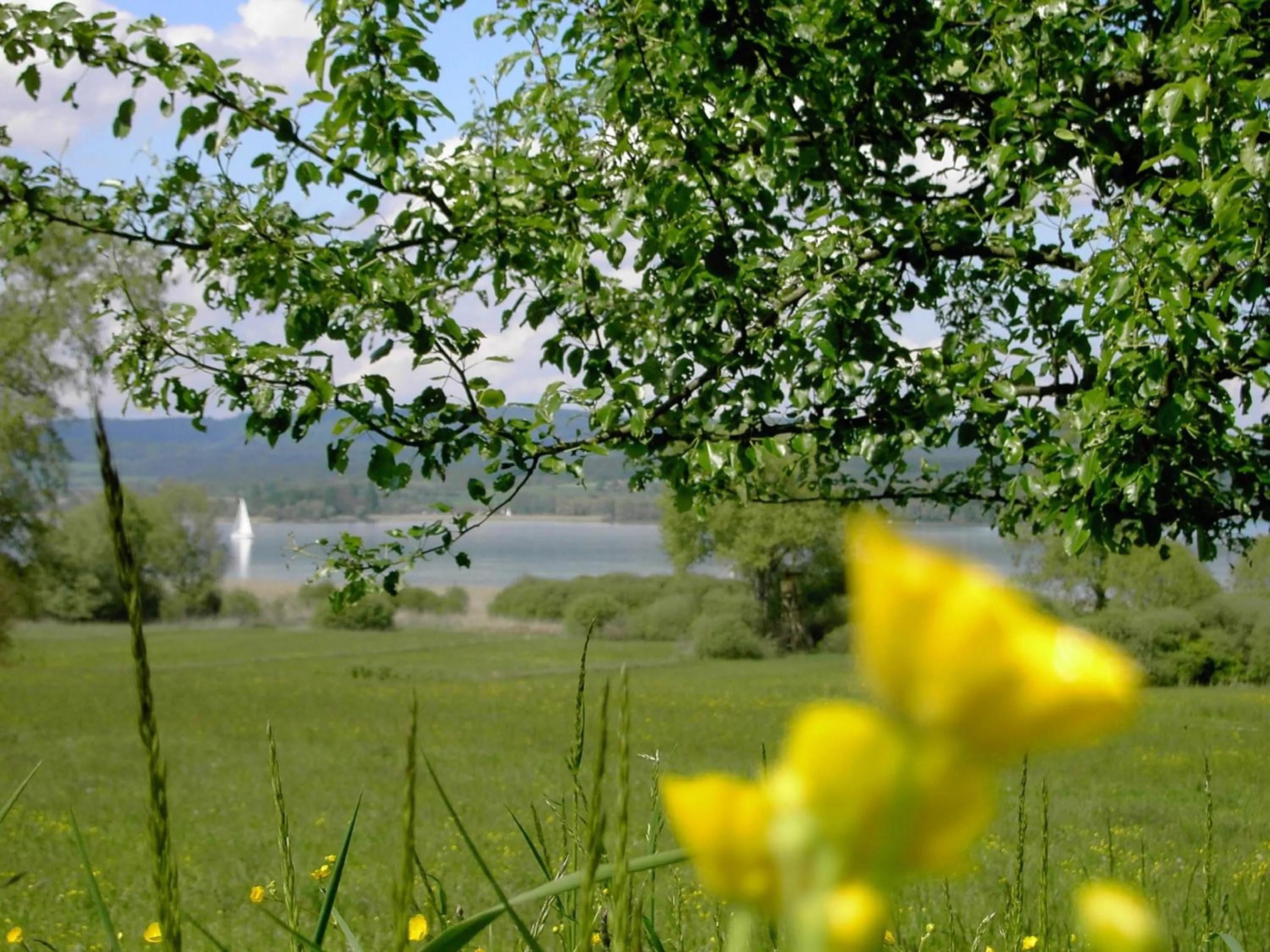 Natural landscape in Historisches Gasthaus Hotel Hirschen Horn