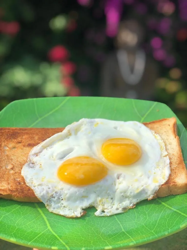 Restaurant/places to eat in The Tree House Sumbawa