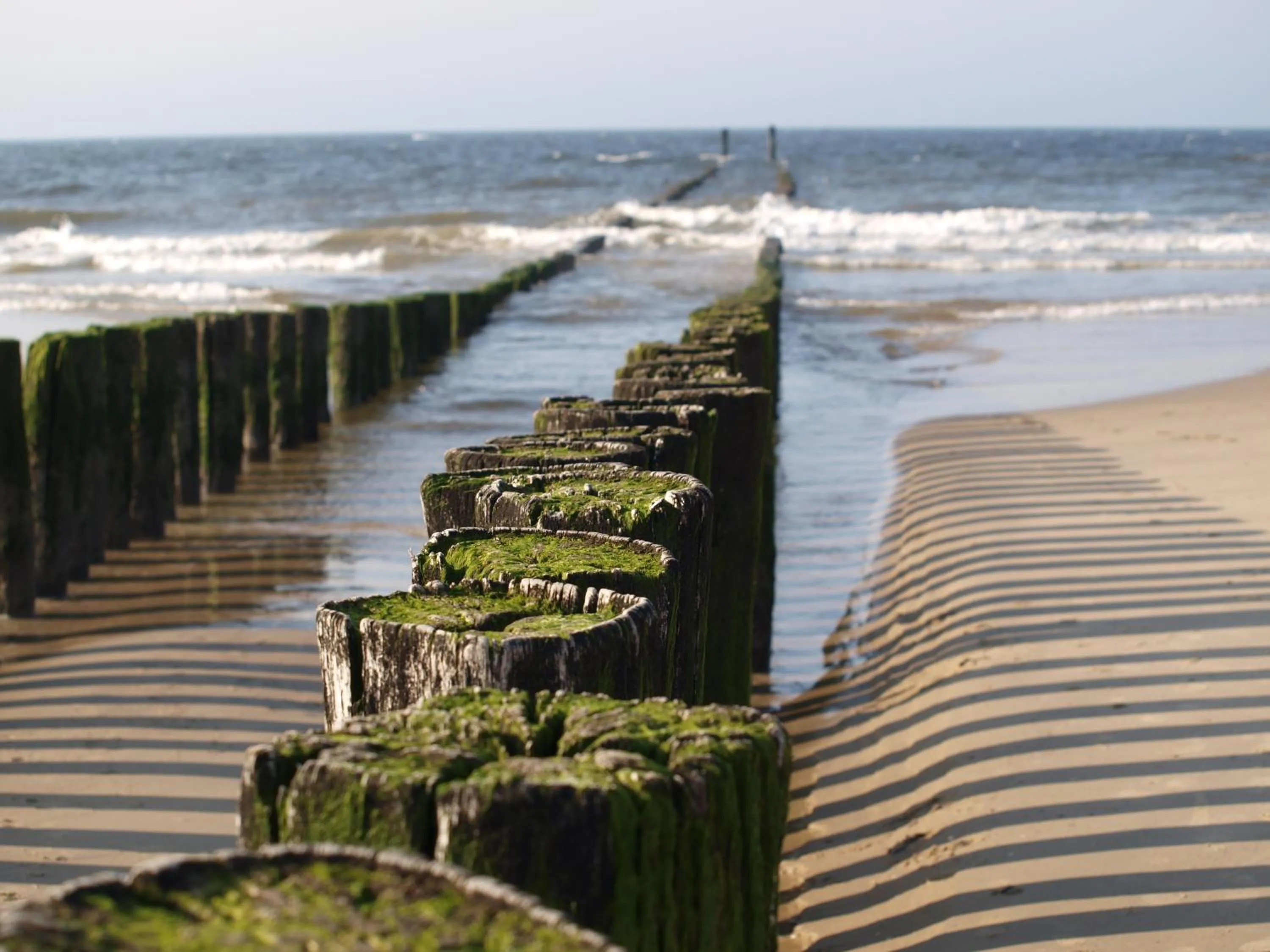 Beach in B&B Rehoboth