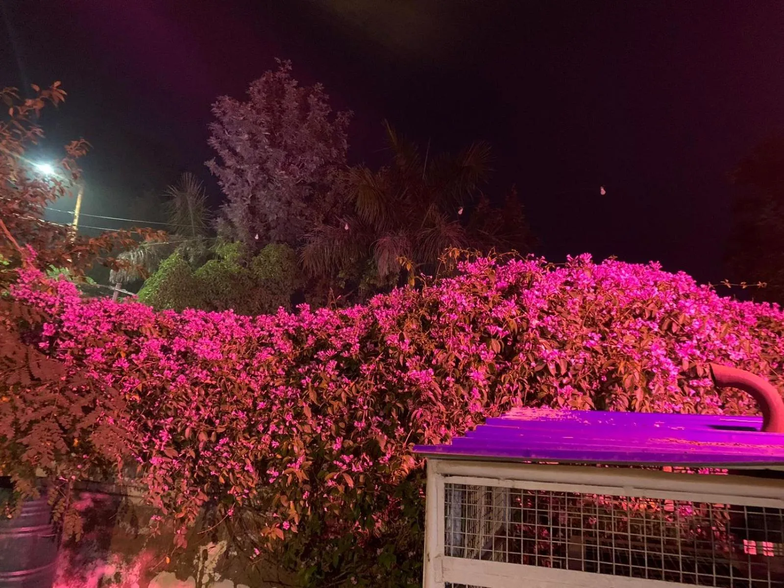 Night in Nature Resort