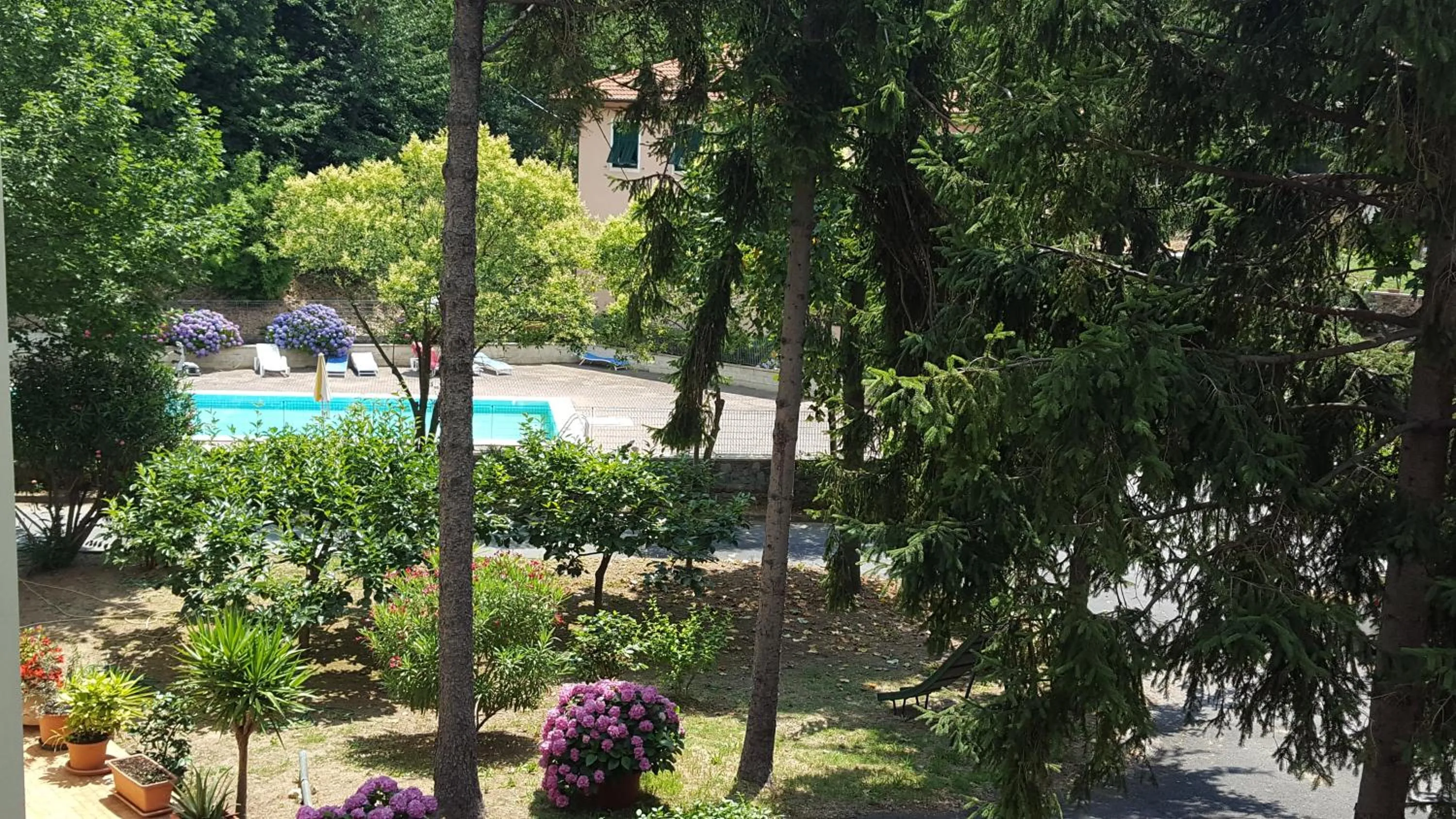 Garden in Hotel La Pineta