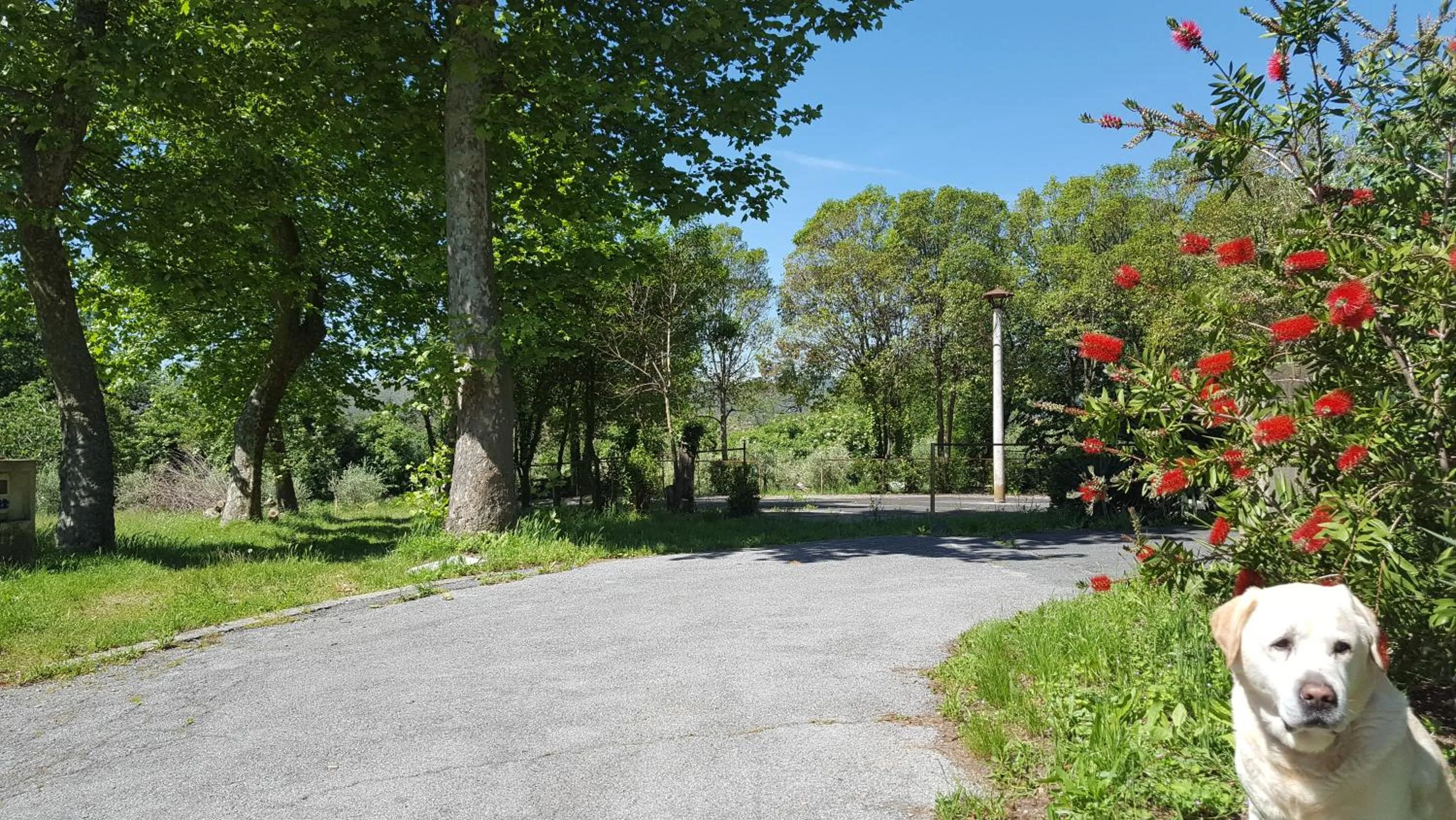 Garden in Hotel La Pineta
