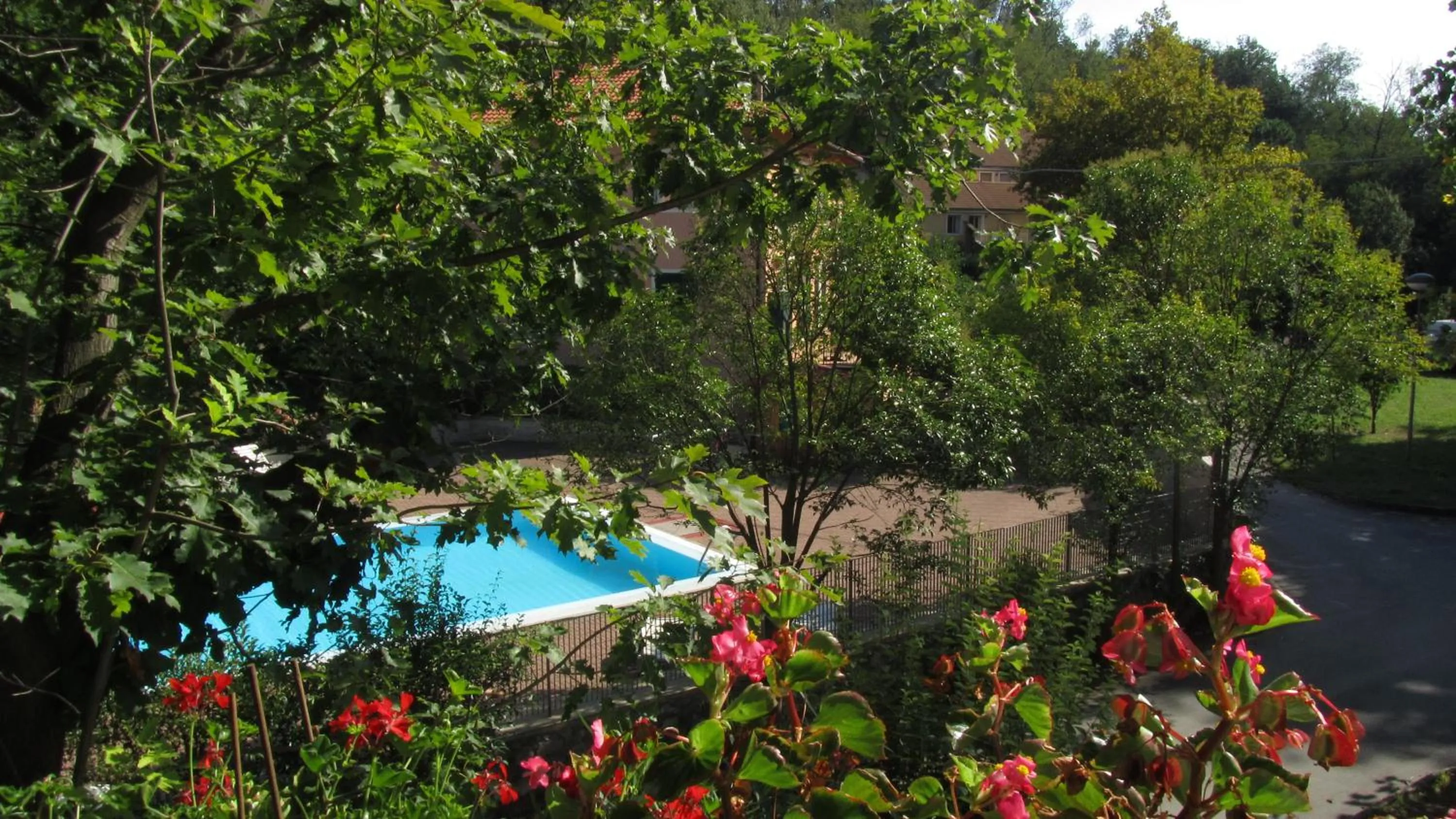 Day in Hotel La Pineta