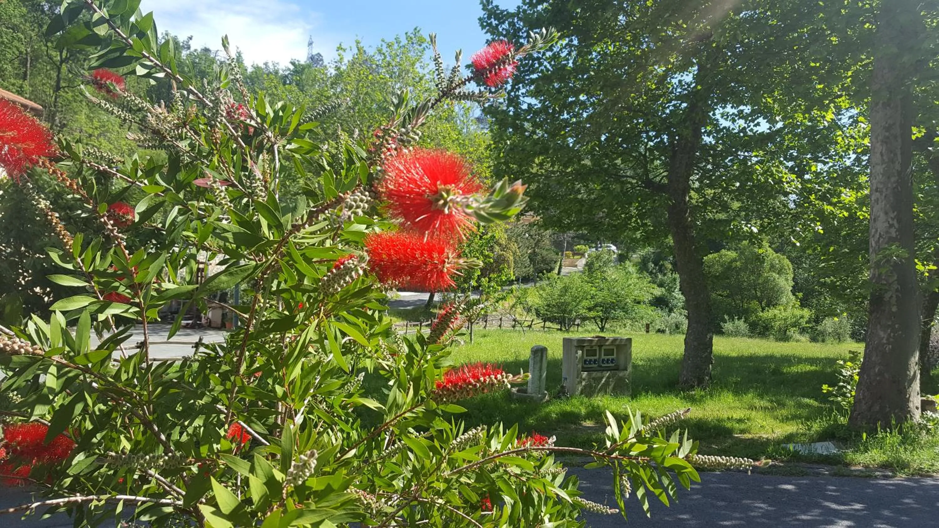 Natural landscape in Hotel La Pineta
