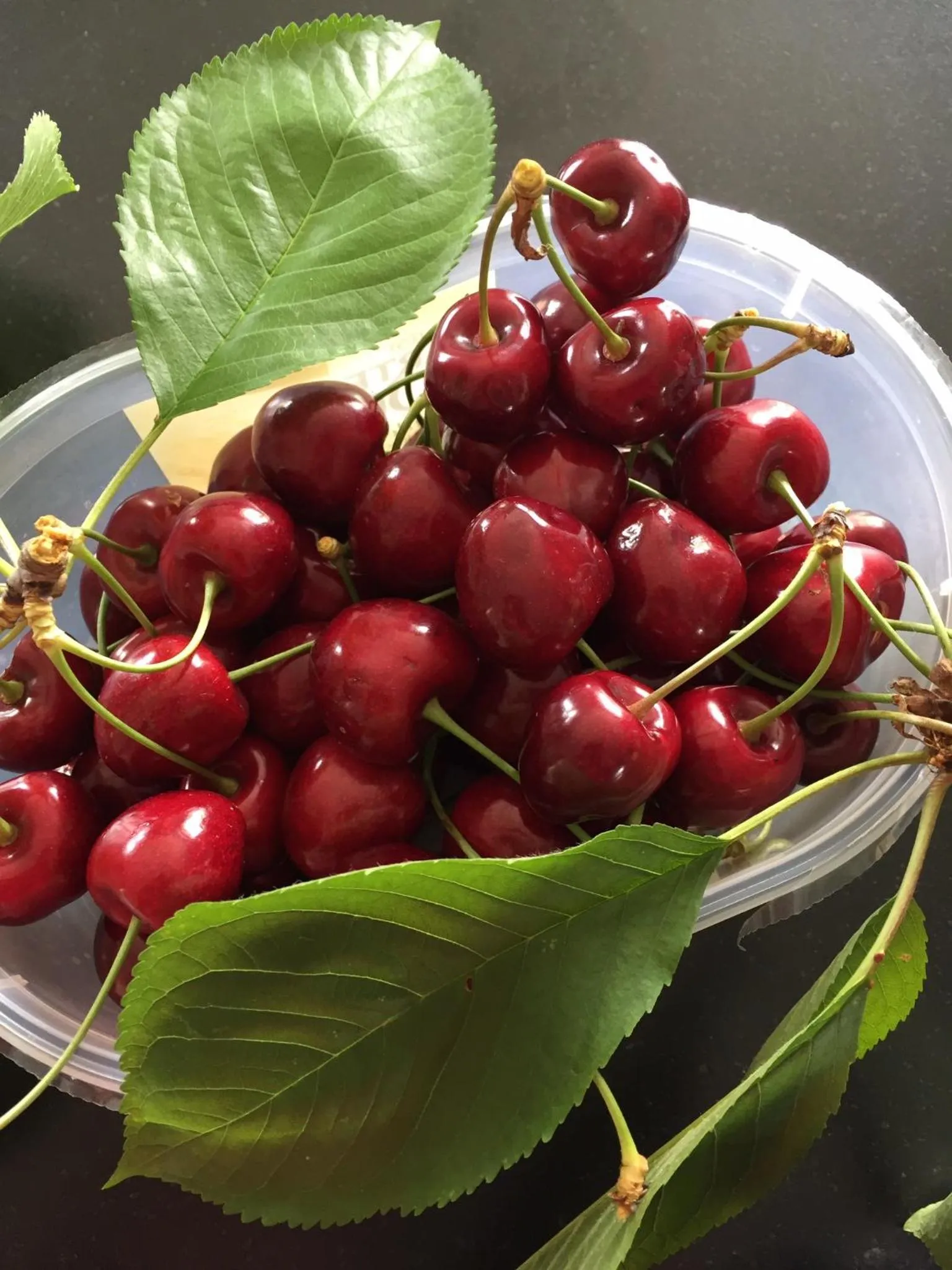 Garden in La Girarde