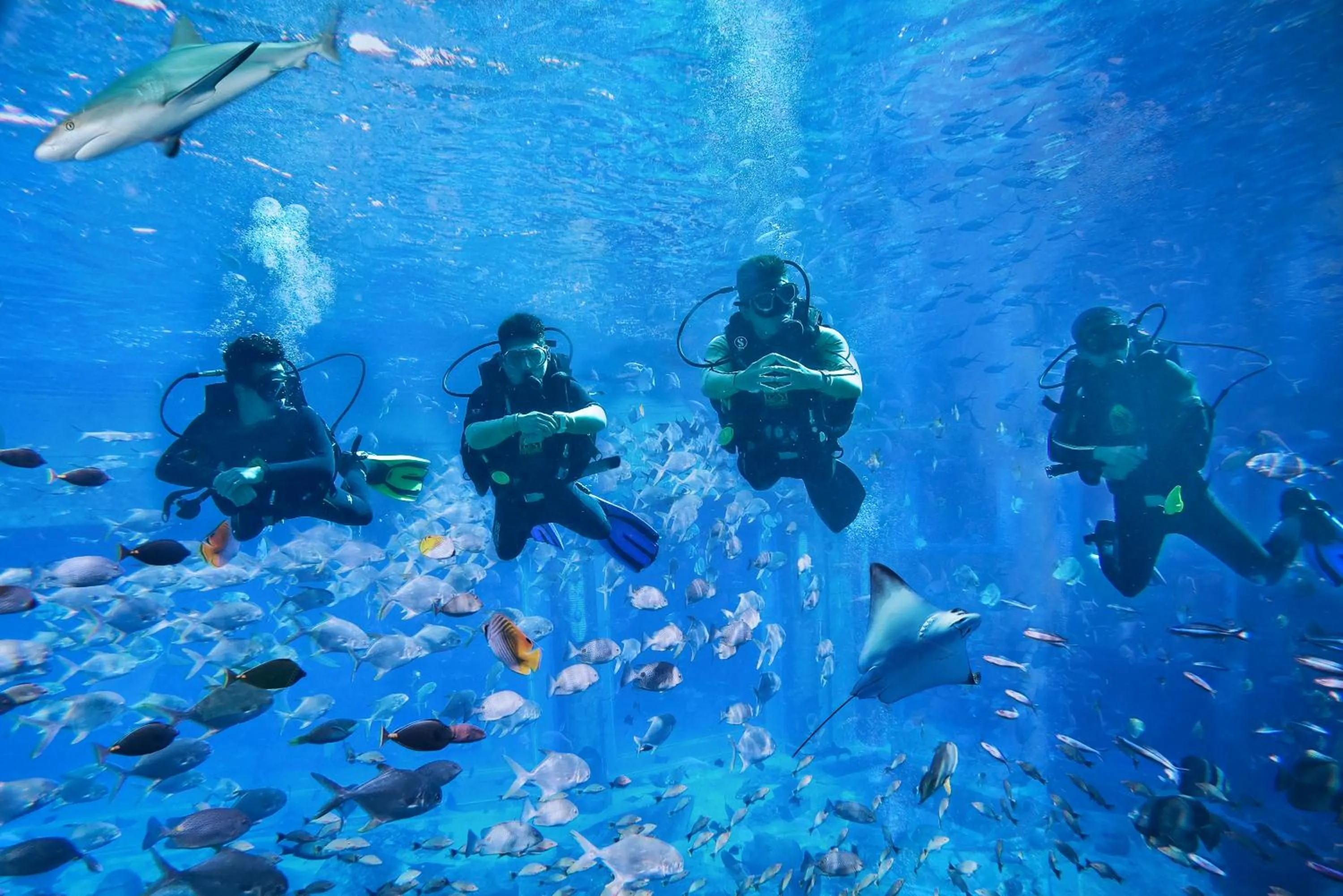 Diving in Atlantis Sanya