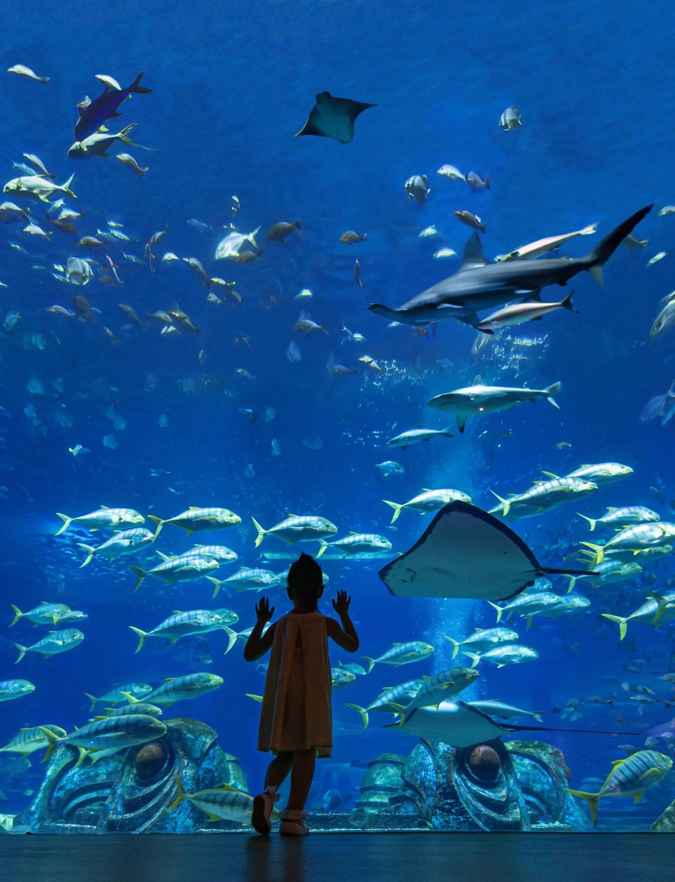 Property building in Atlantis Sanya