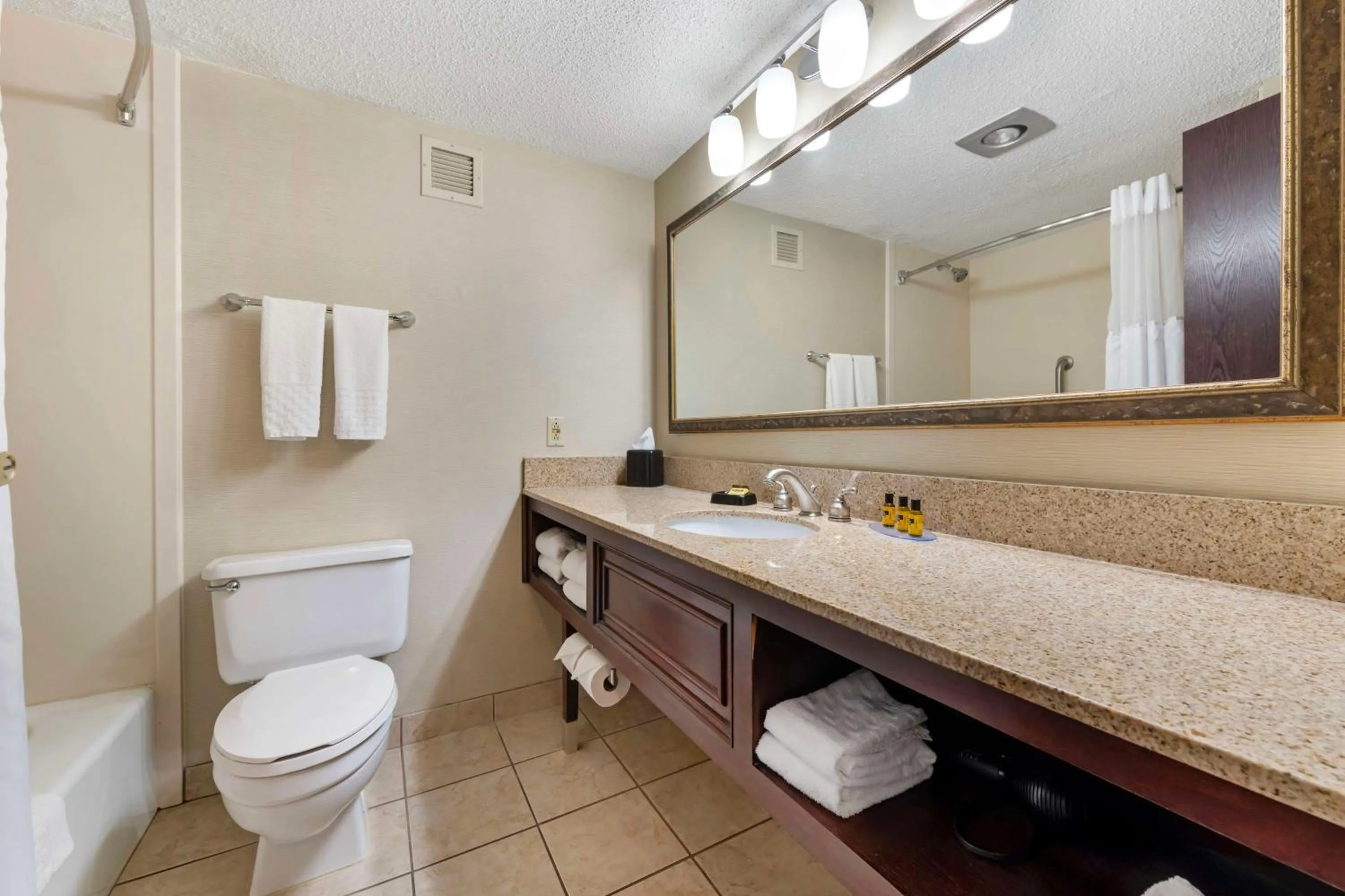 Bathroom in Best Western Plus St. Paul North/Shoreview