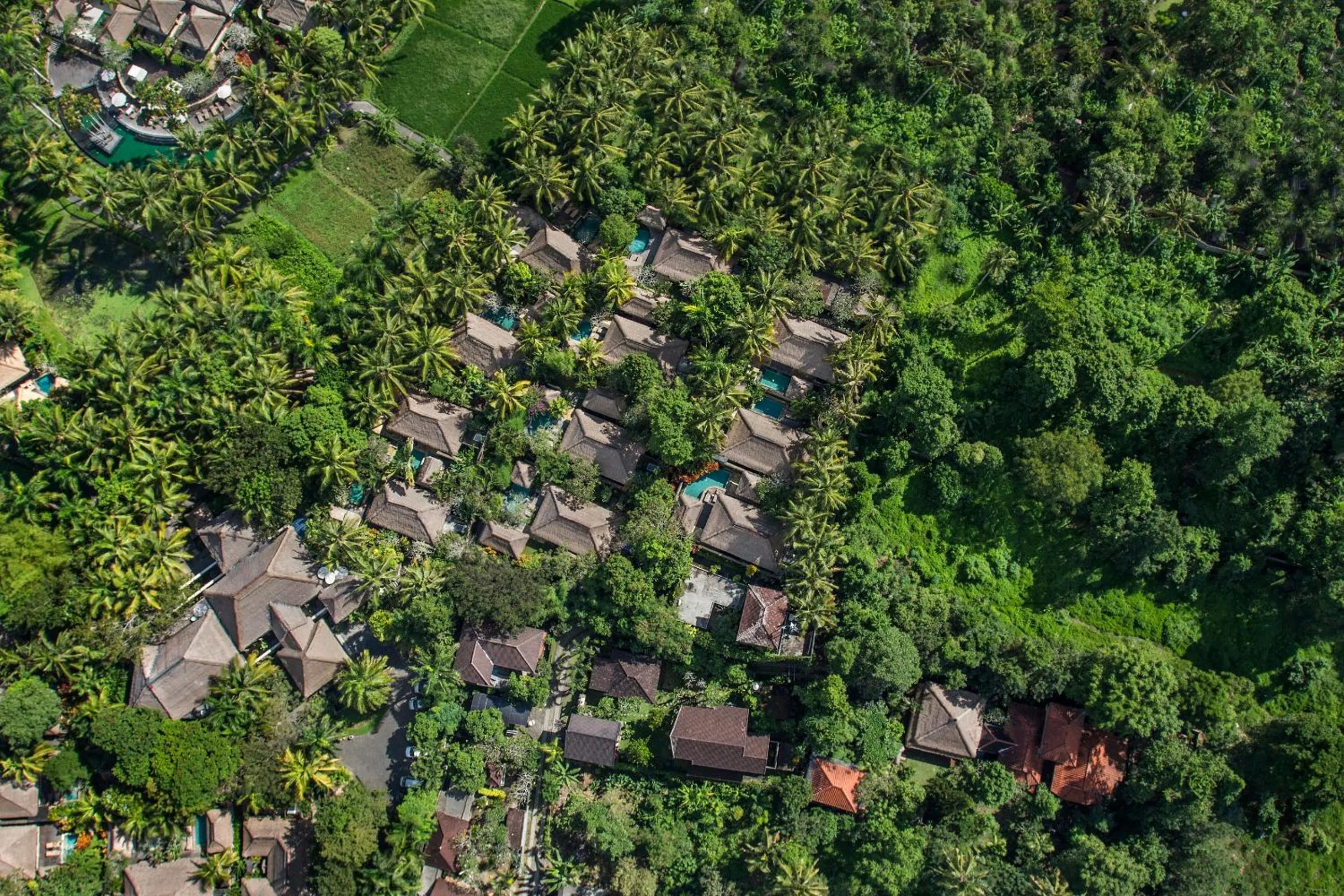Natural landscape in The Ubud Village Resort & Spa