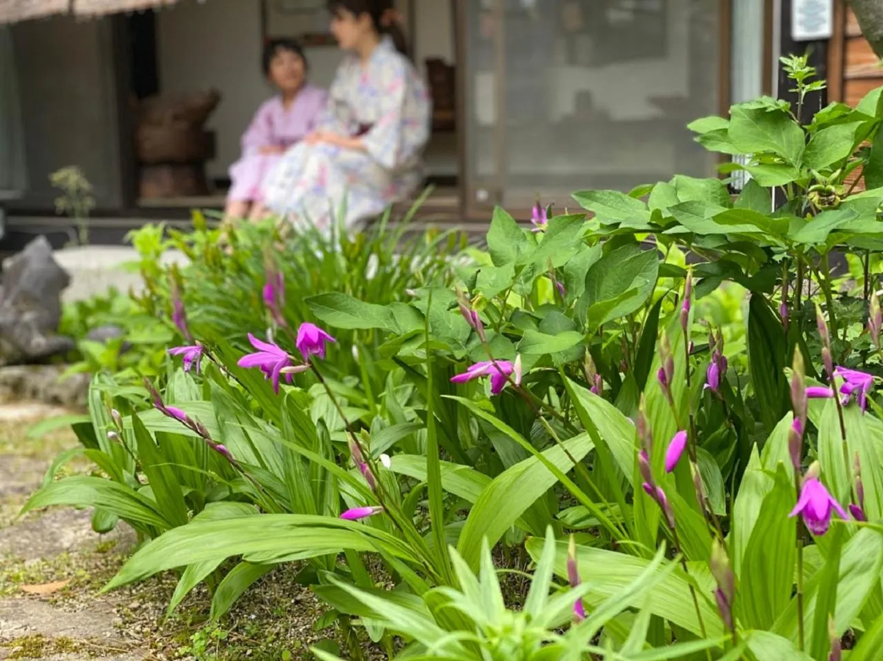 Garden in Ryokan Asunaro