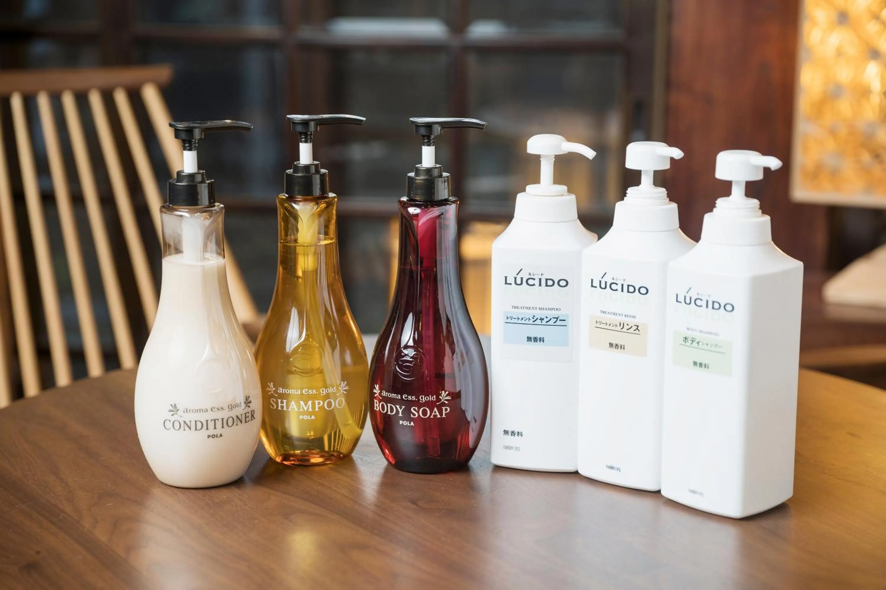 Hot Spring Bath in Ryokan Asunaro