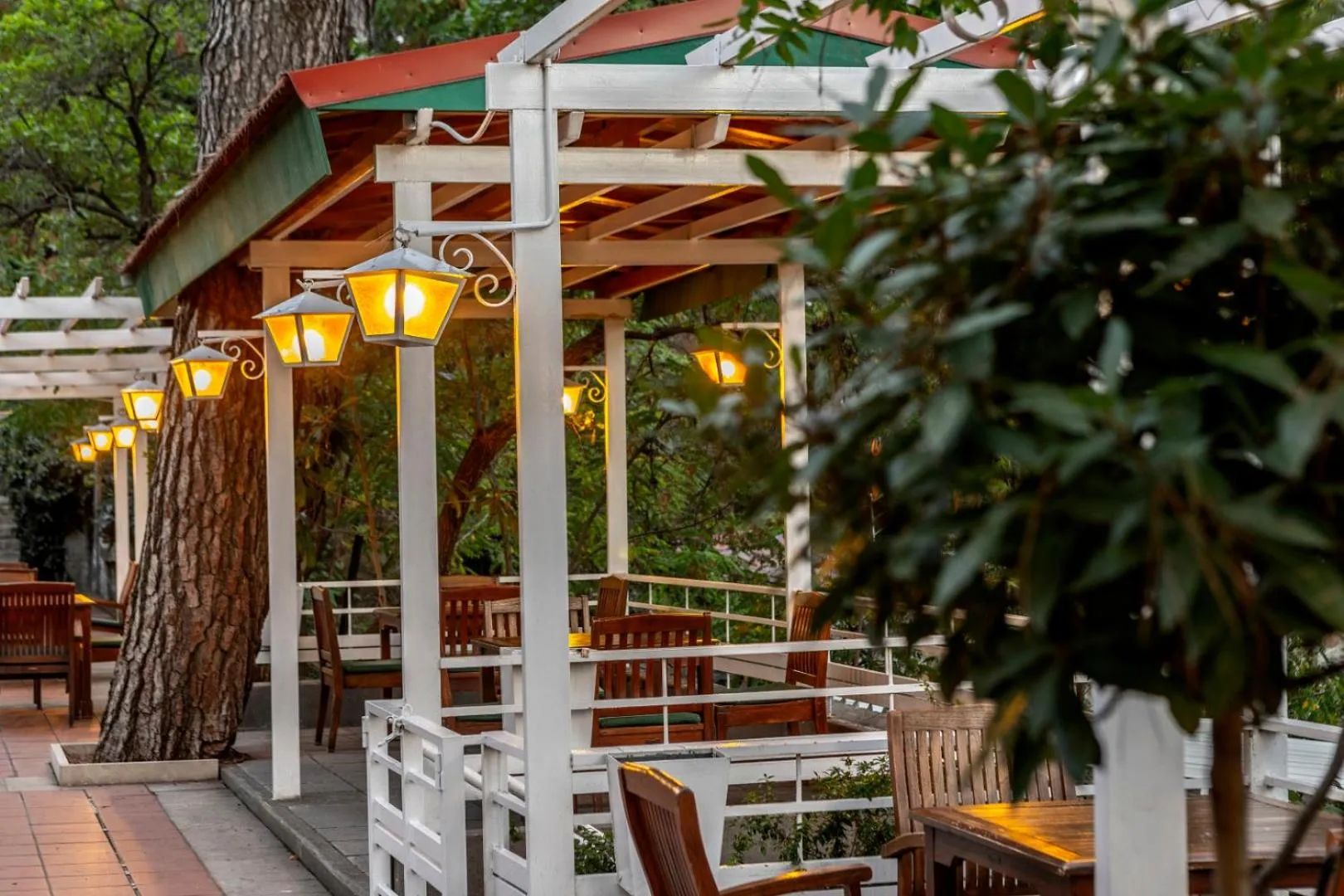 Patio in Forest Park Hotel