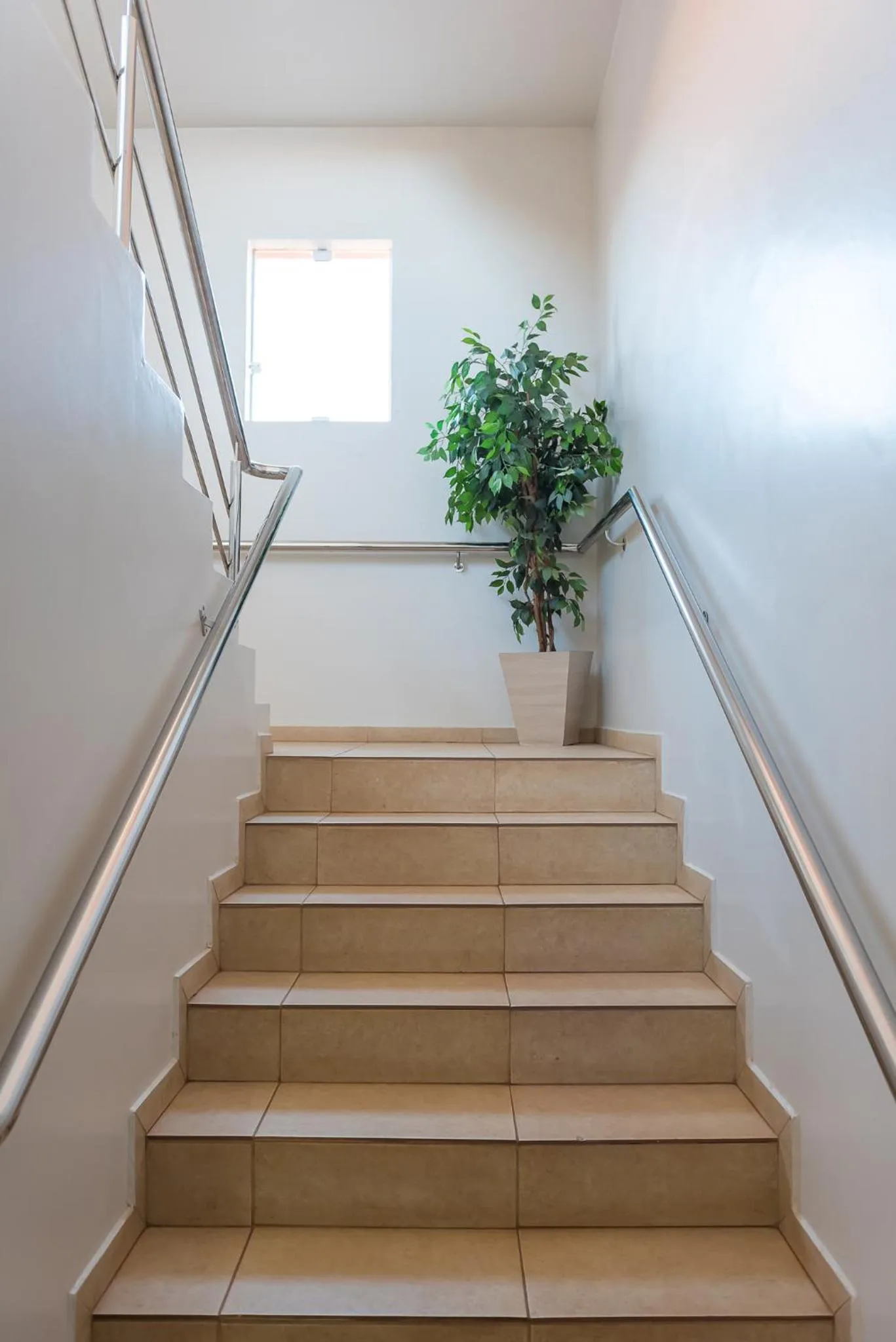 Area and facilities in Hotel D'Nápoles