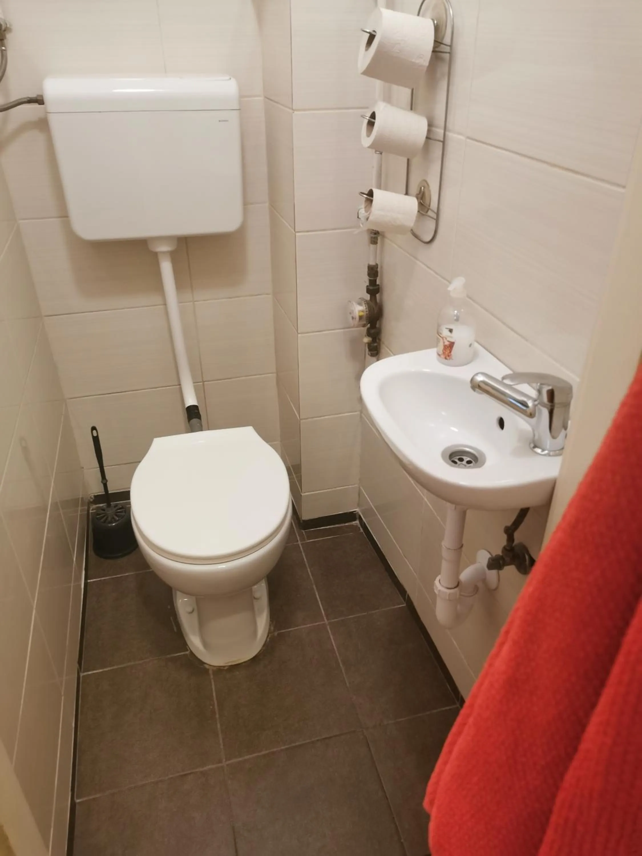 Toilet in Boomerang Hostel