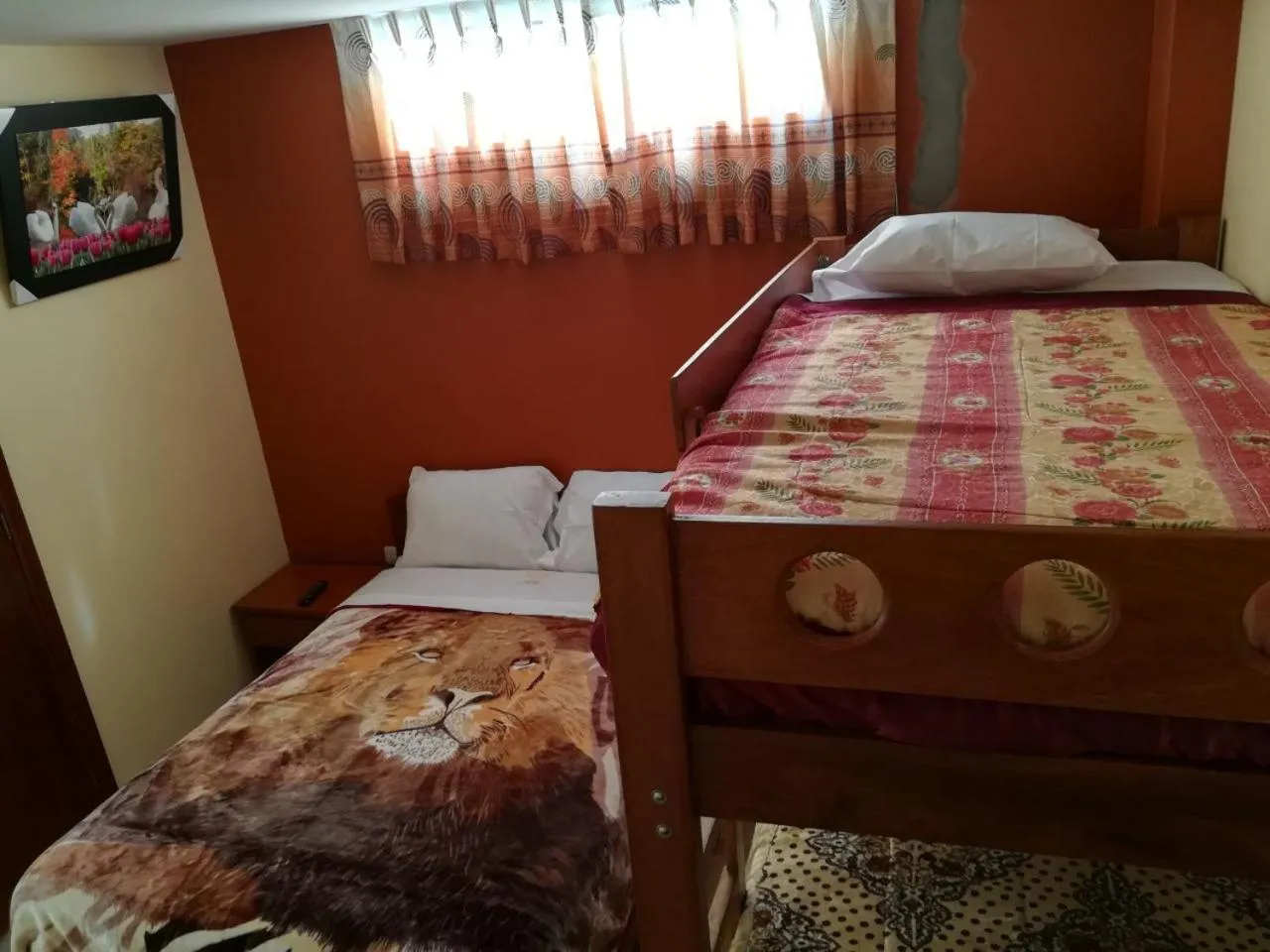 bunk bed, Bed in Hotel Real Chimbote