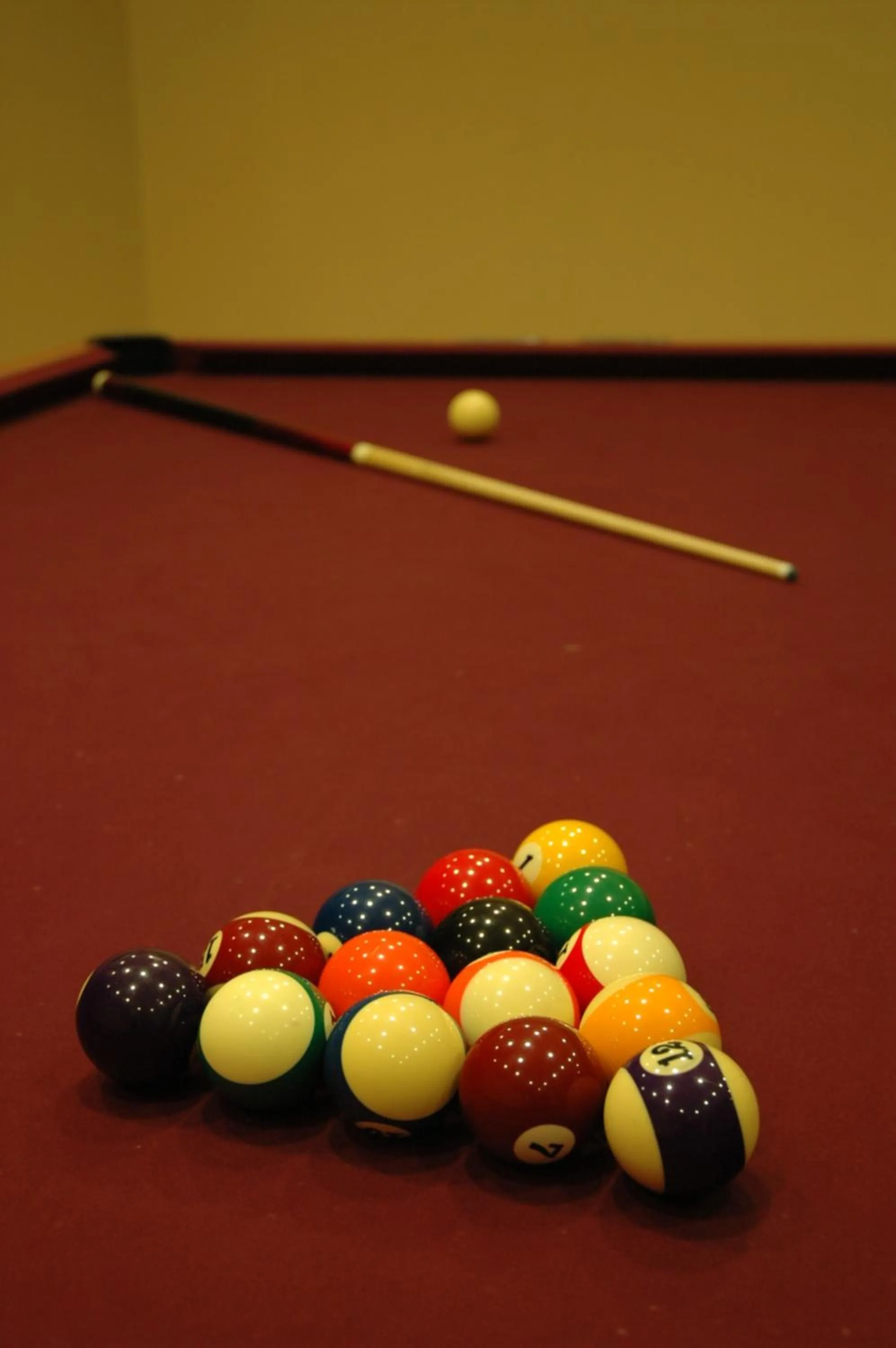 Activities in Rumi Hotel