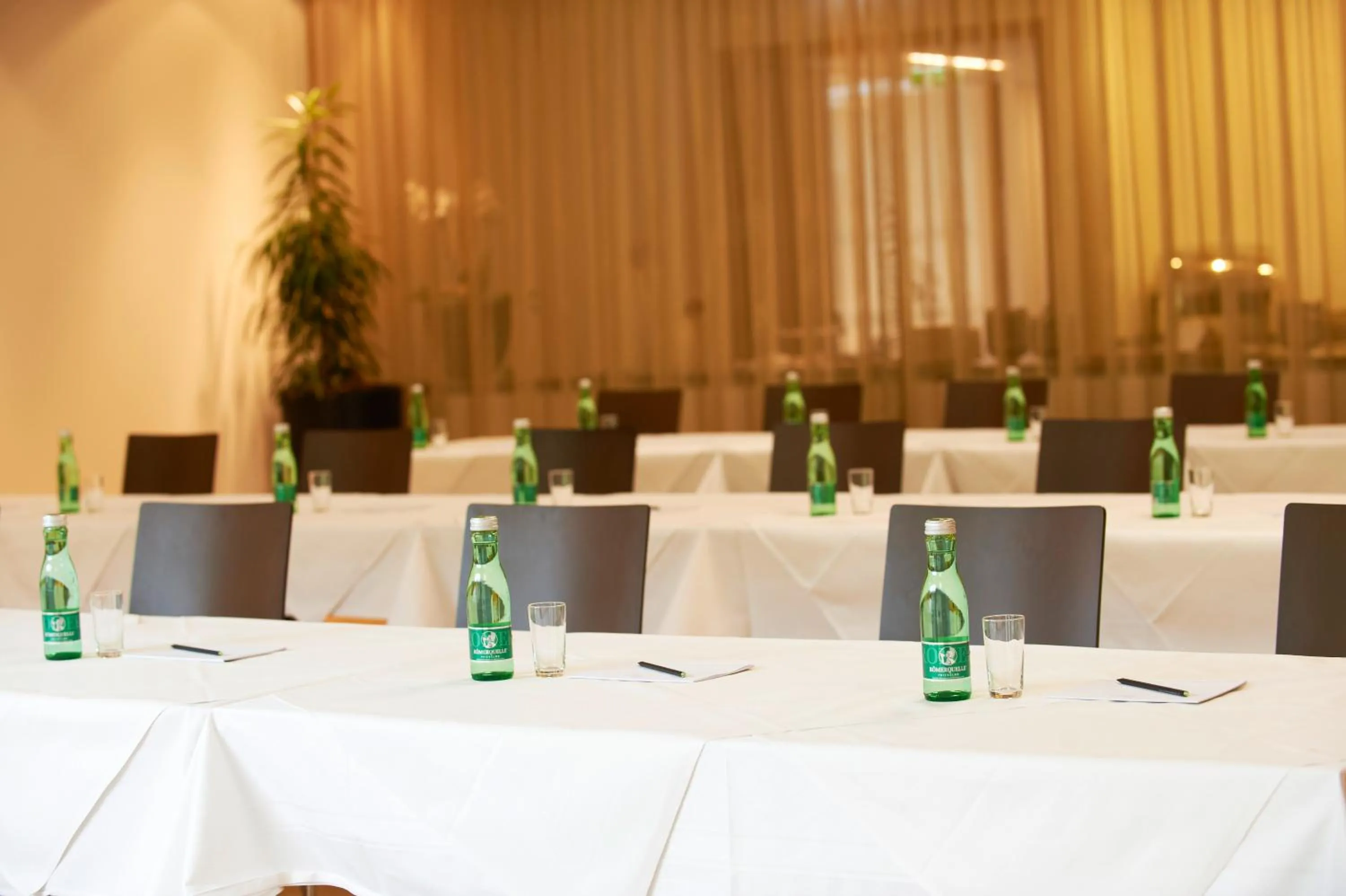 Business facilities in Sternen Hotel Wolfurt