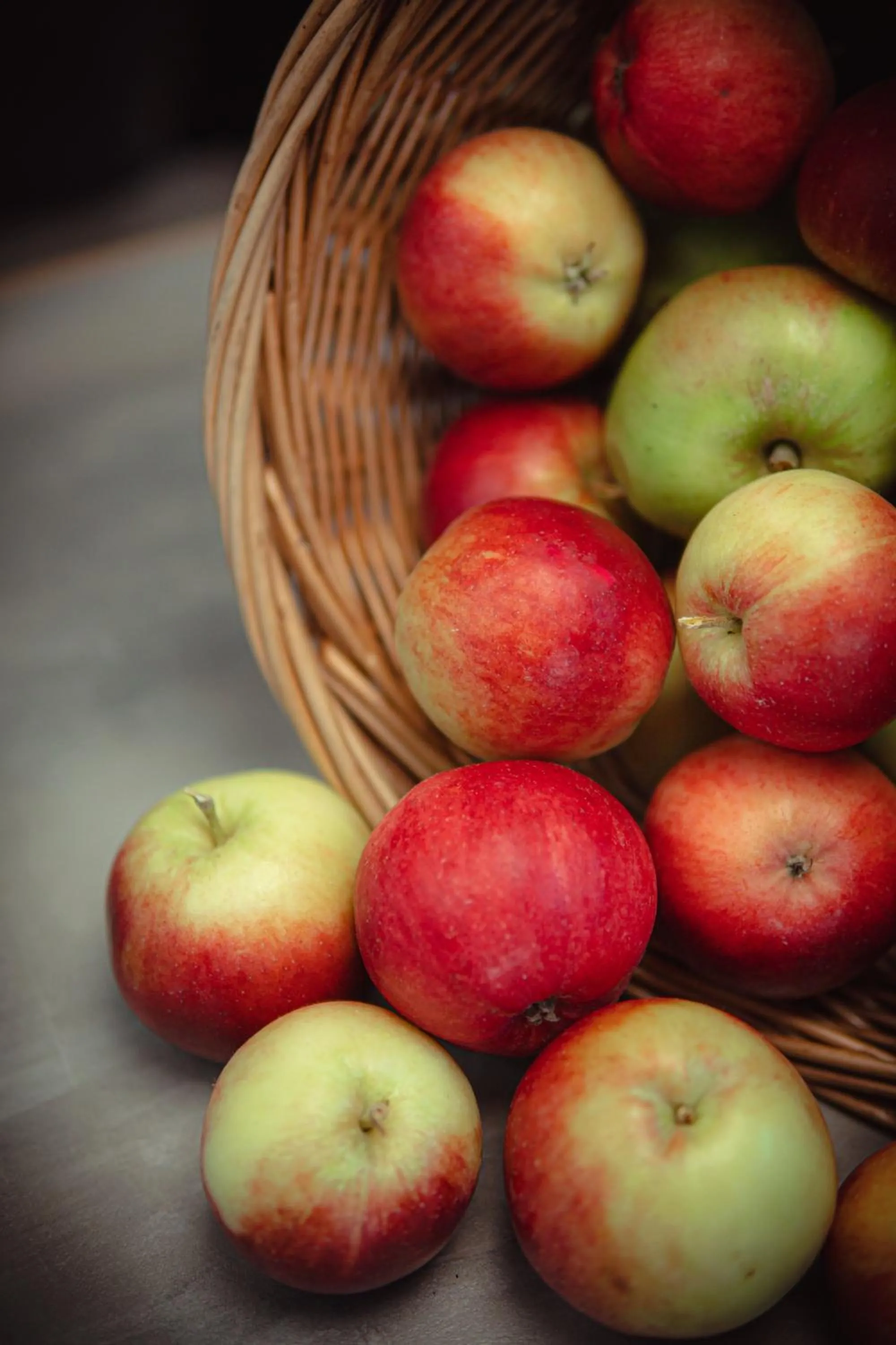 The Lodges @ Barra Castle