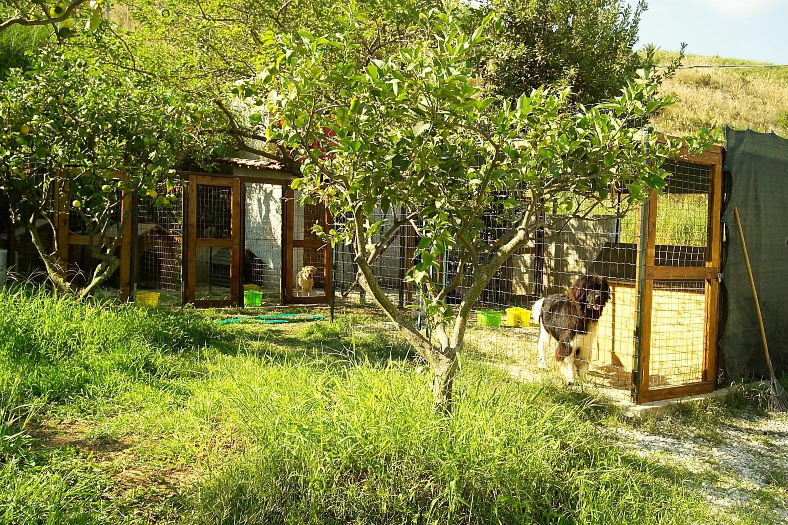 Day in Villaggio Hotel Lido San Giuseppe