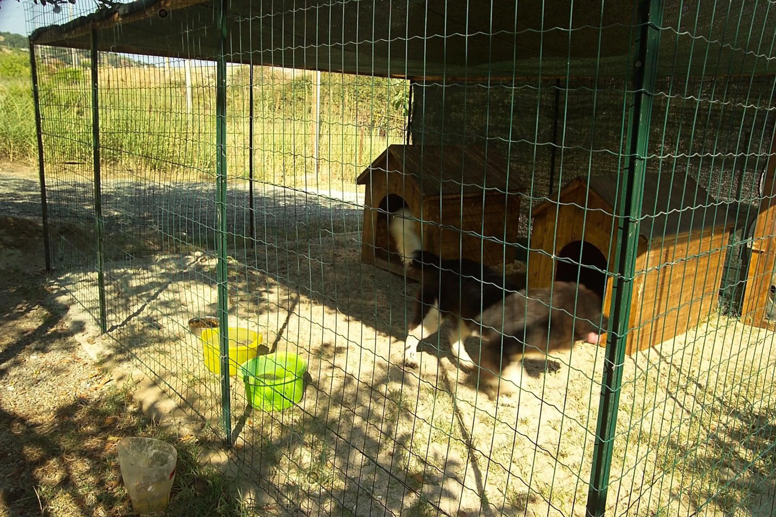 Animals in Villaggio Hotel Lido San Giuseppe