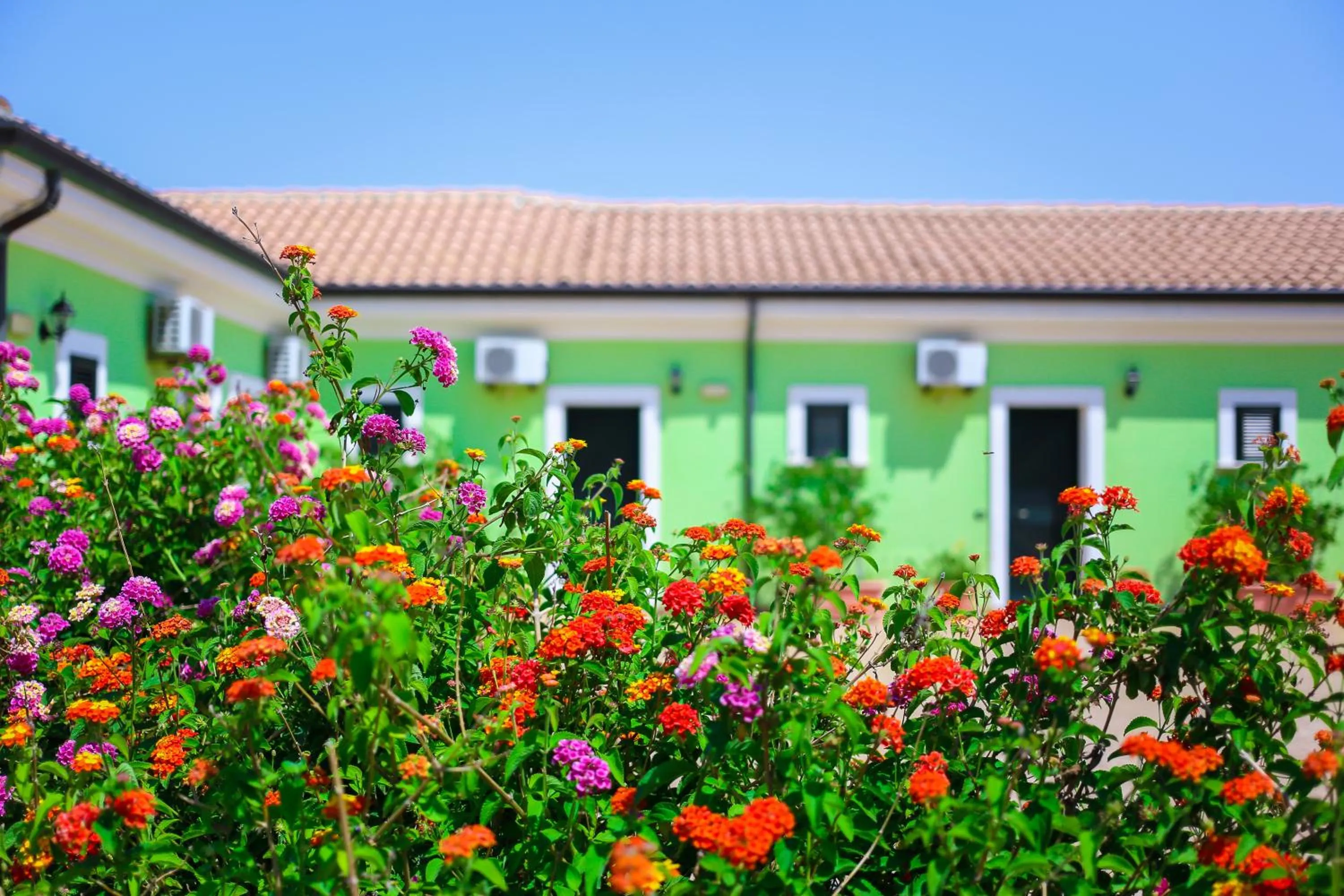 Garden in Villaggio Hotel Lido San Giuseppe