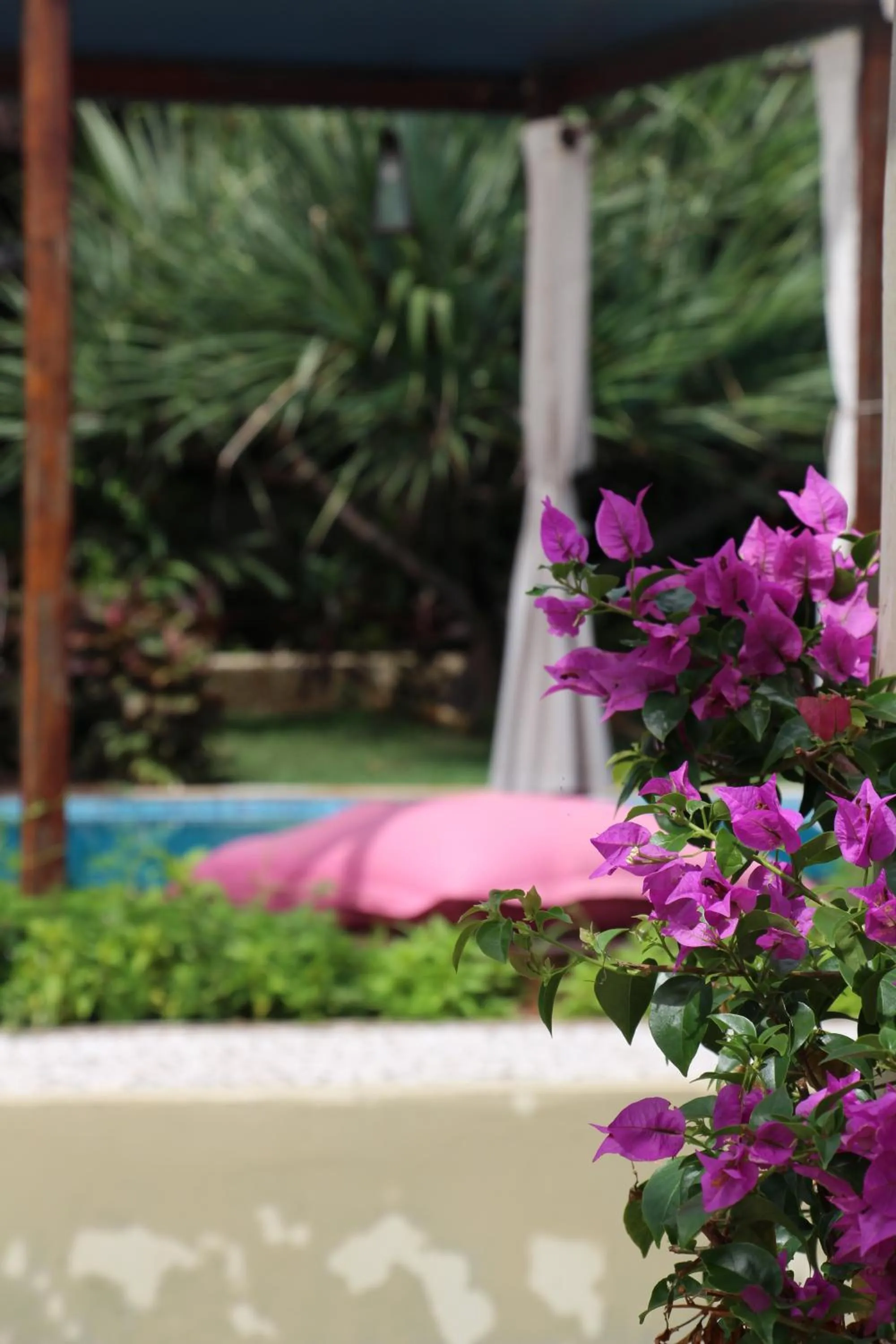 Decorative detail in 0031 Boutique Hotel & Restaurant Cumbuco