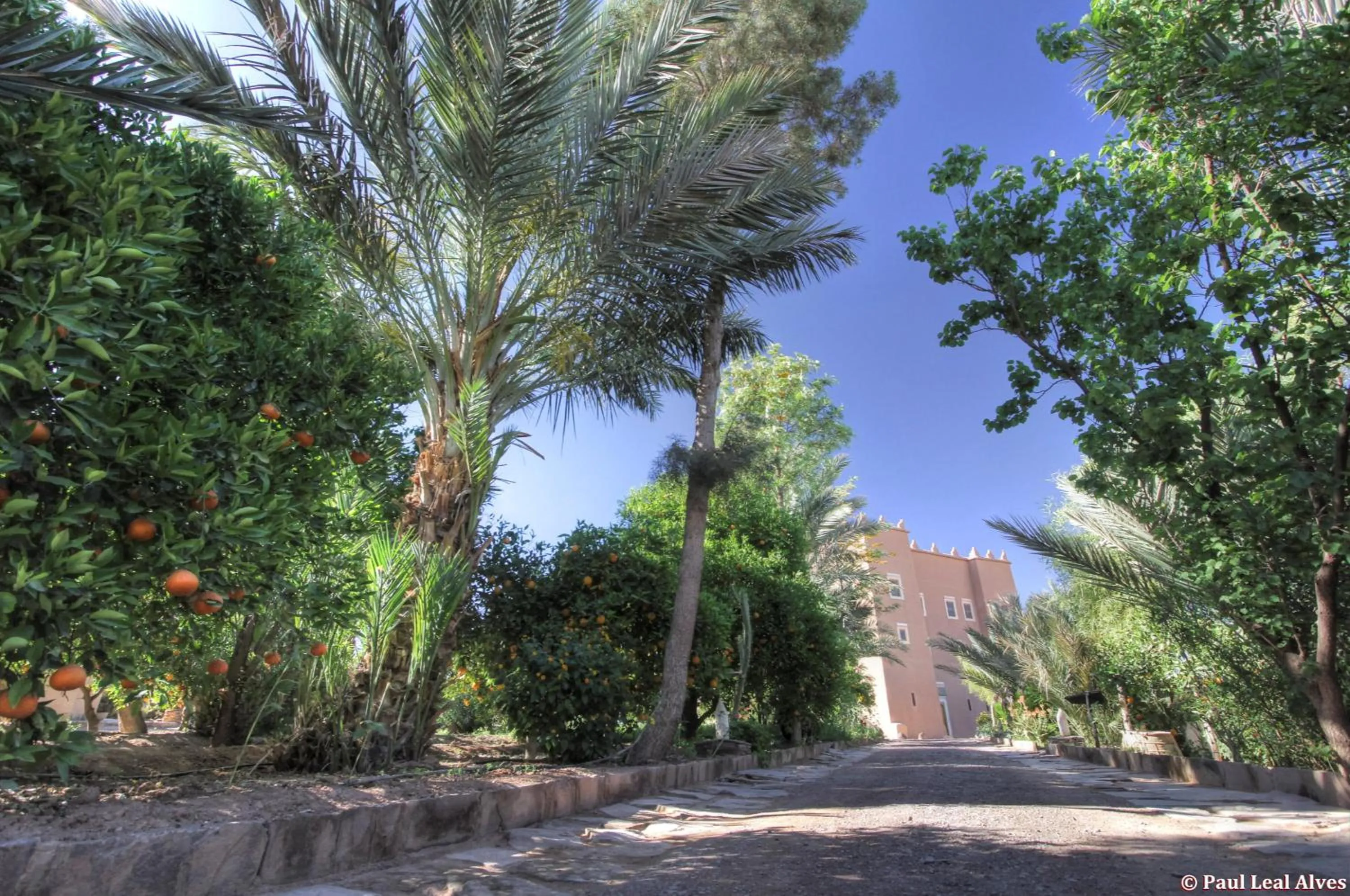 Garden in Kasbah Baha Baha