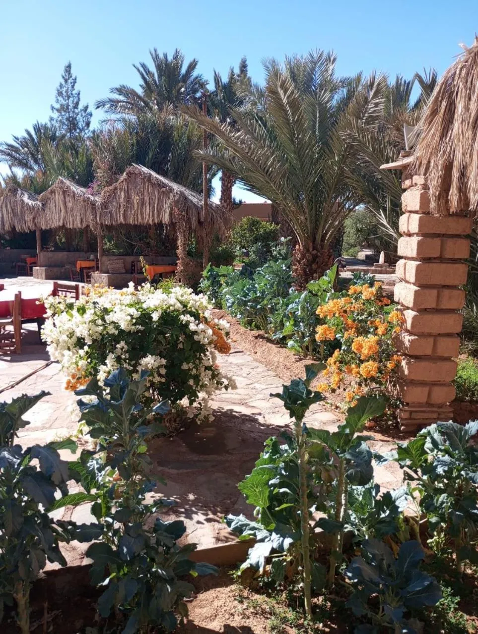 Garden in Kasbah Baha Baha