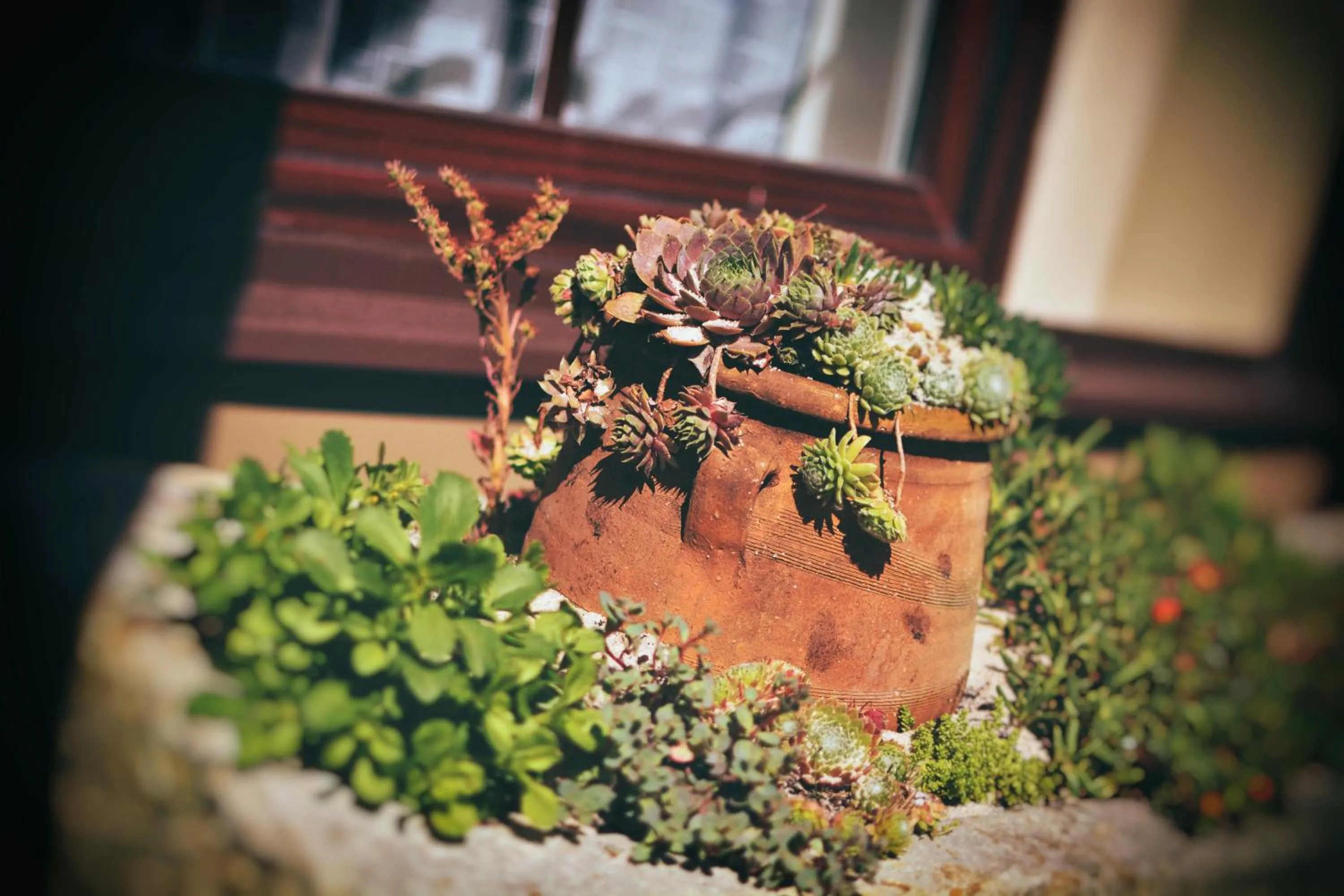 Decorative detail in Hotel U Hradu