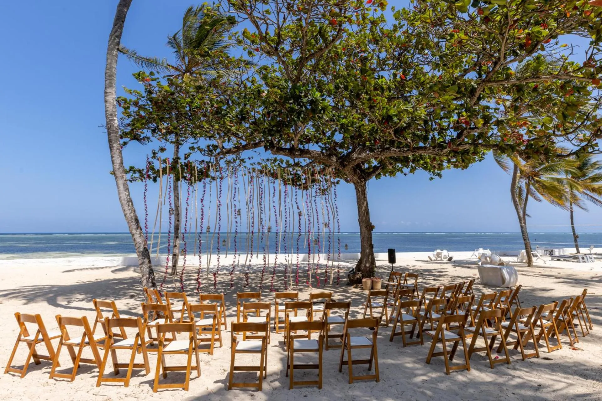 Natural landscape in Sun N Sand Beach Resort