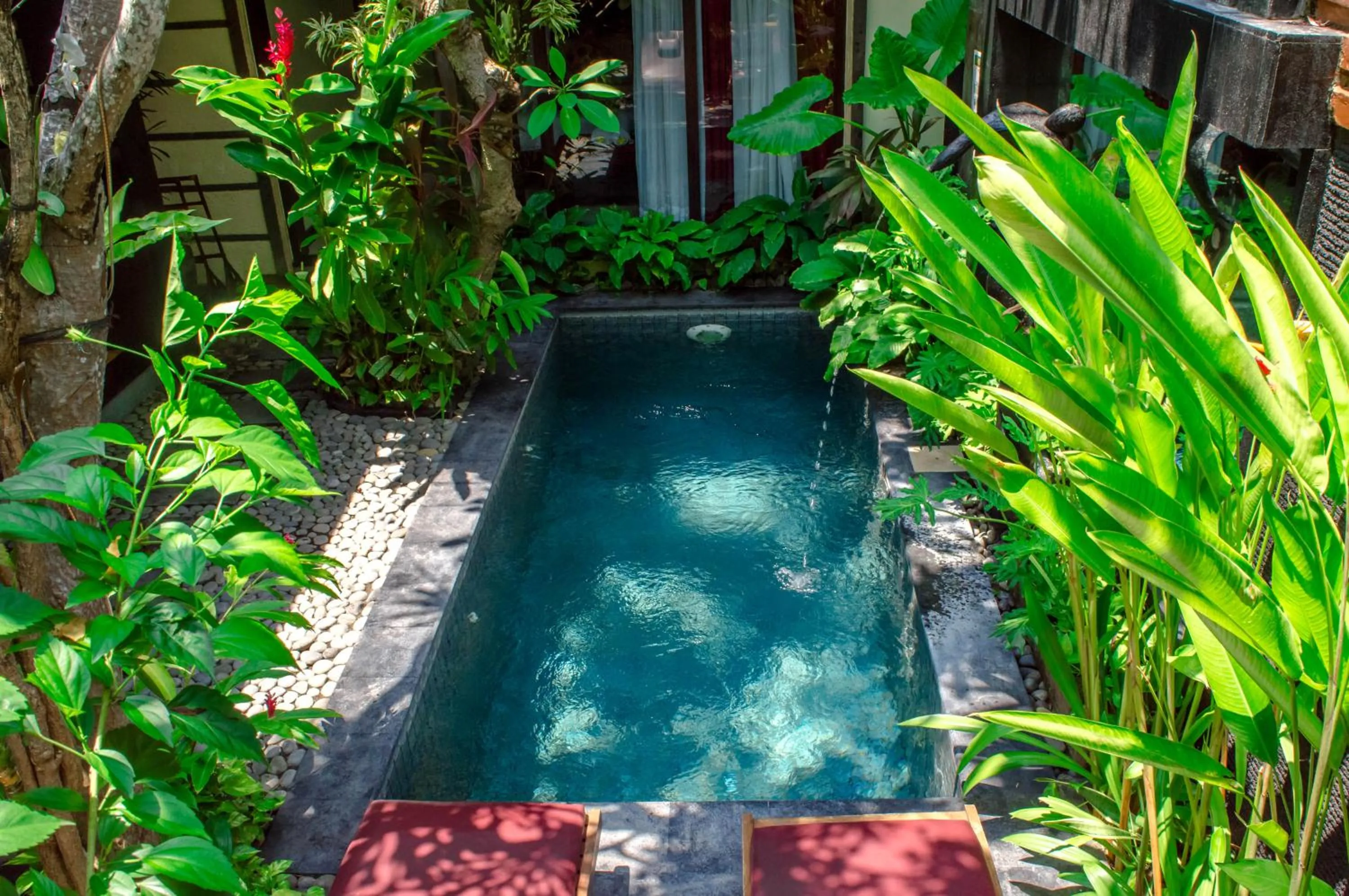Garden in The Bali Dream Villa Seminyak
