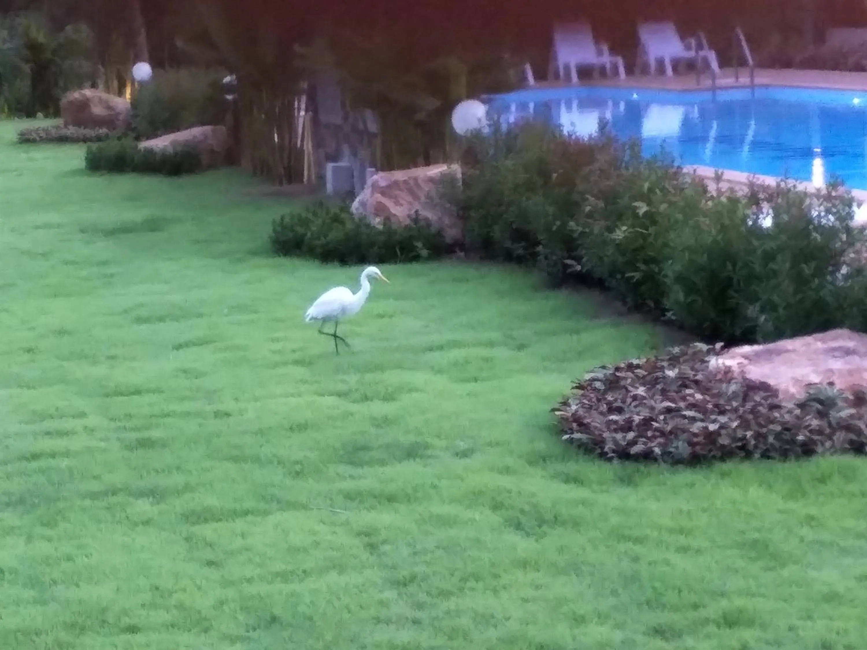 Garden in Lanta Infinity Resort - SHA Extra Plus