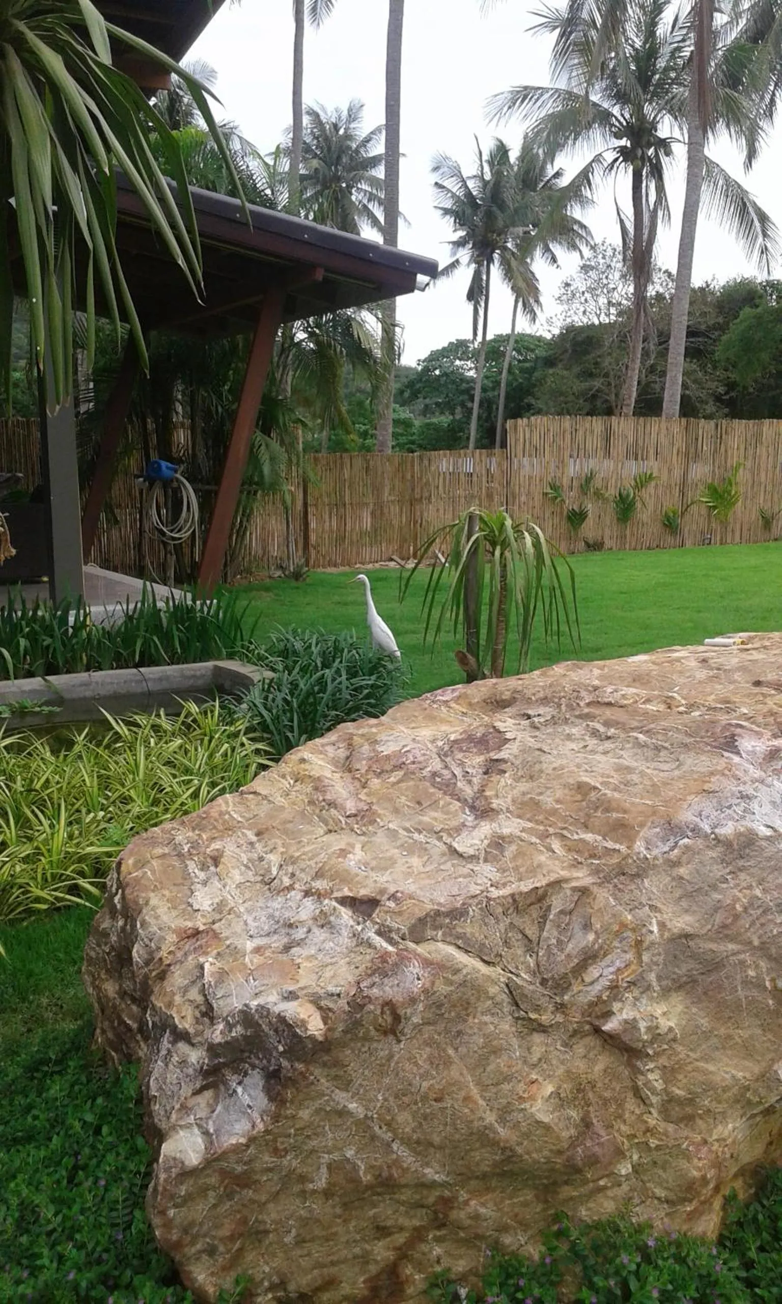 Garden in Lanta Infinity Resort - SHA Extra Plus