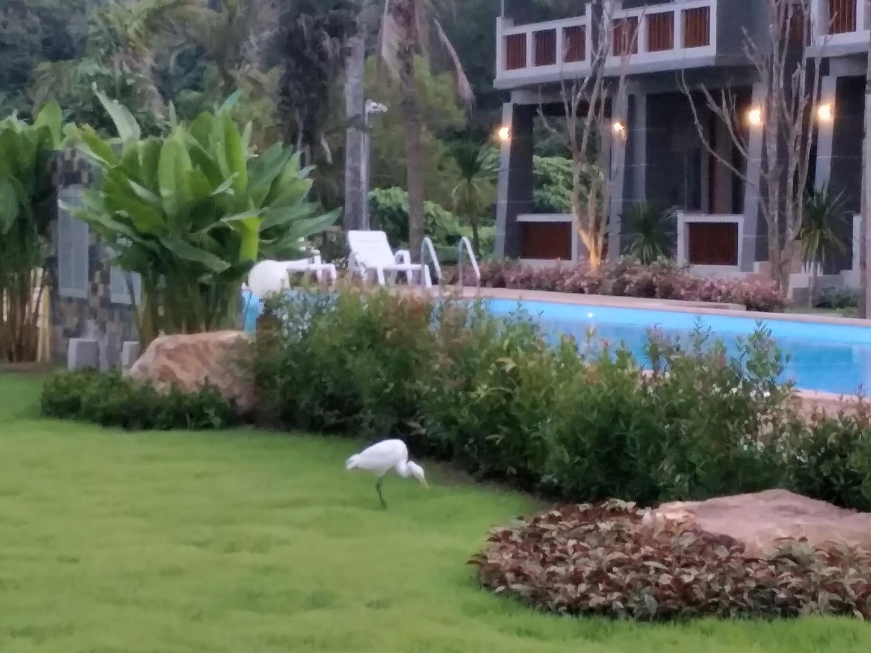 Garden in Lanta Infinity Resort - SHA Extra Plus