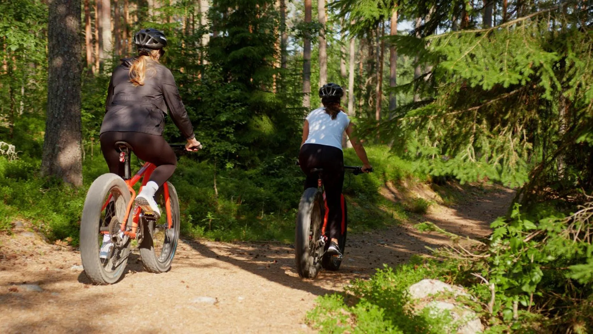 Activities in Spa Hotel Peurunka